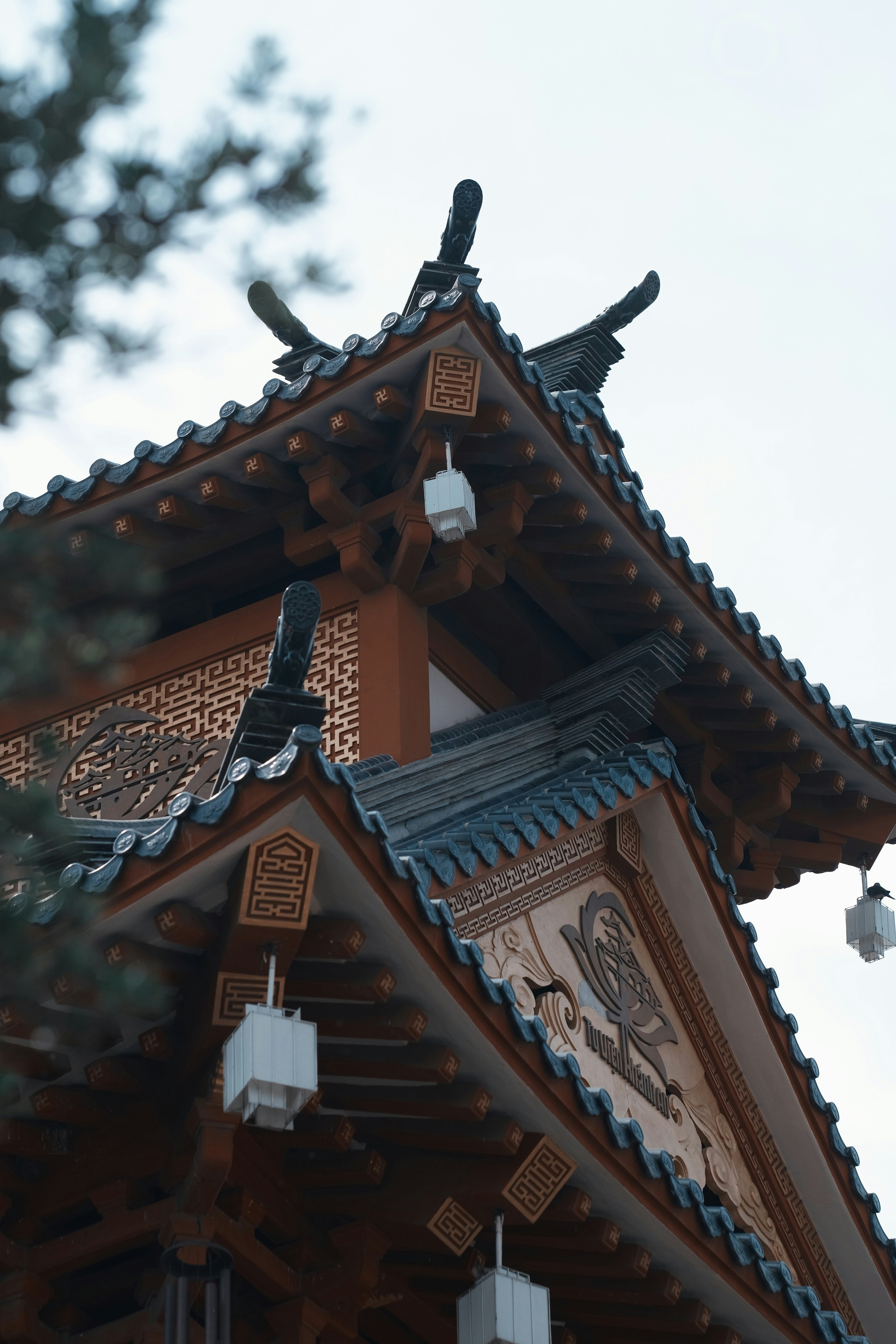 Photo by nguyentrungnguyen