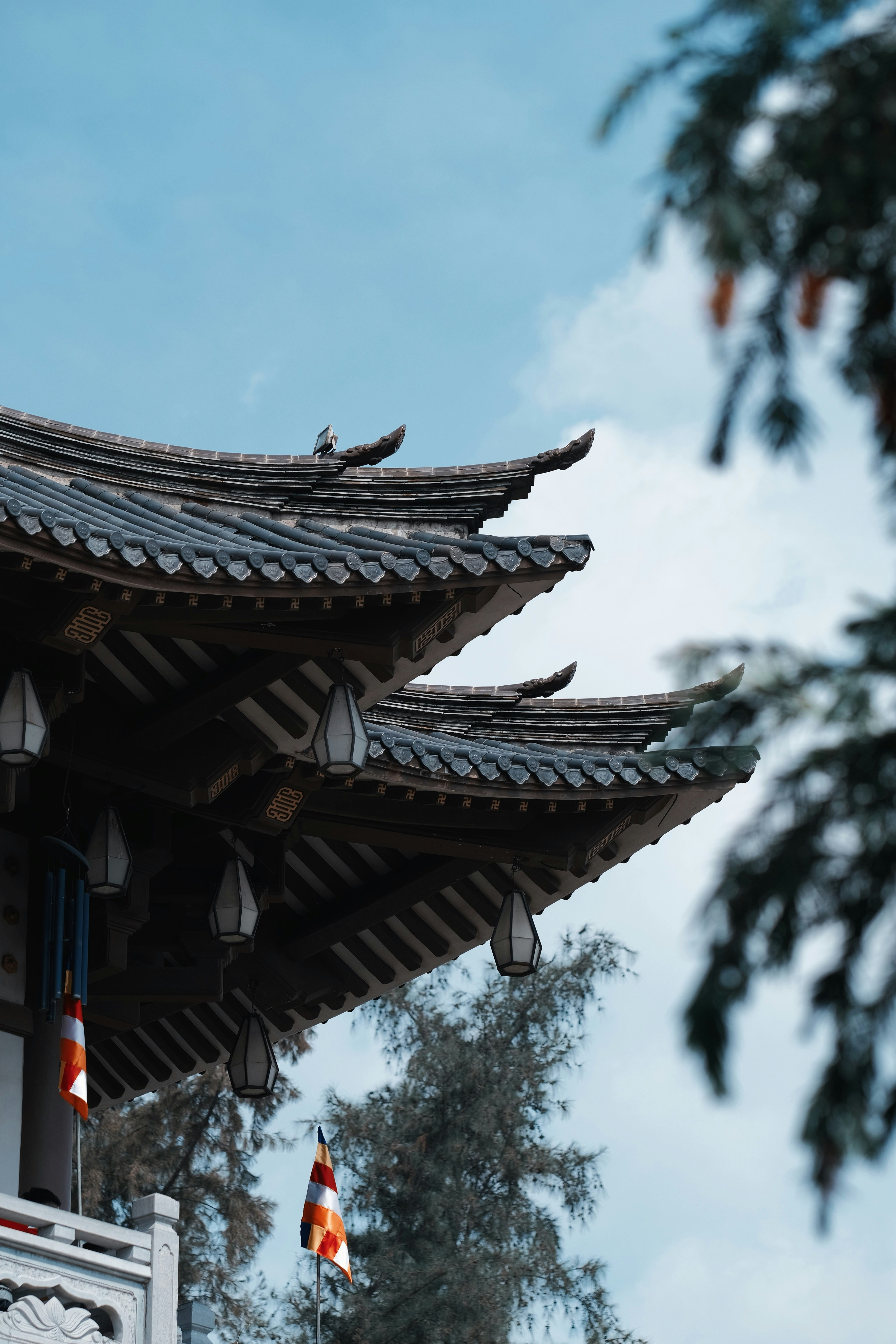 Photo by nguyentrungnguyen