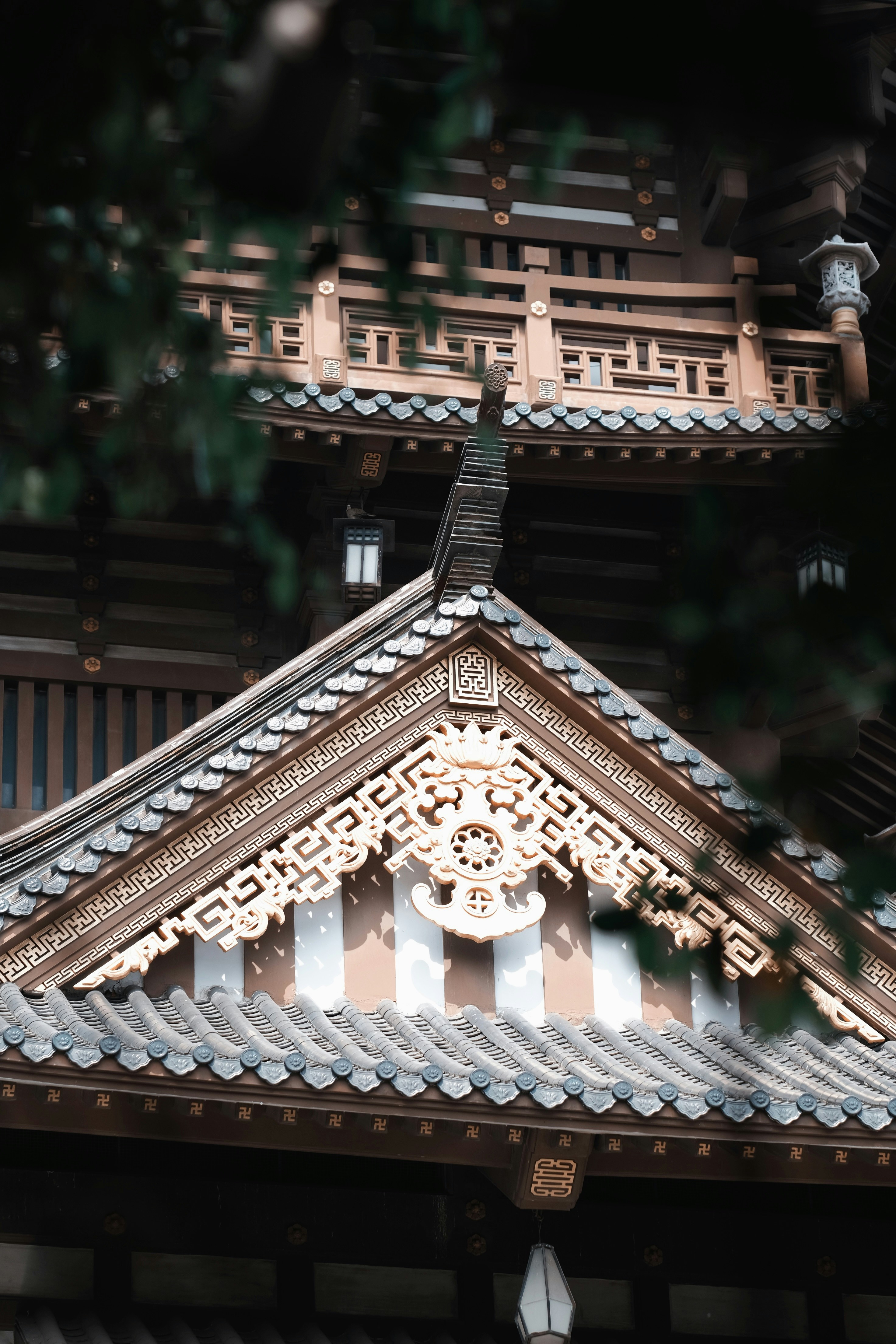 Photo by nguyentrungnguyen