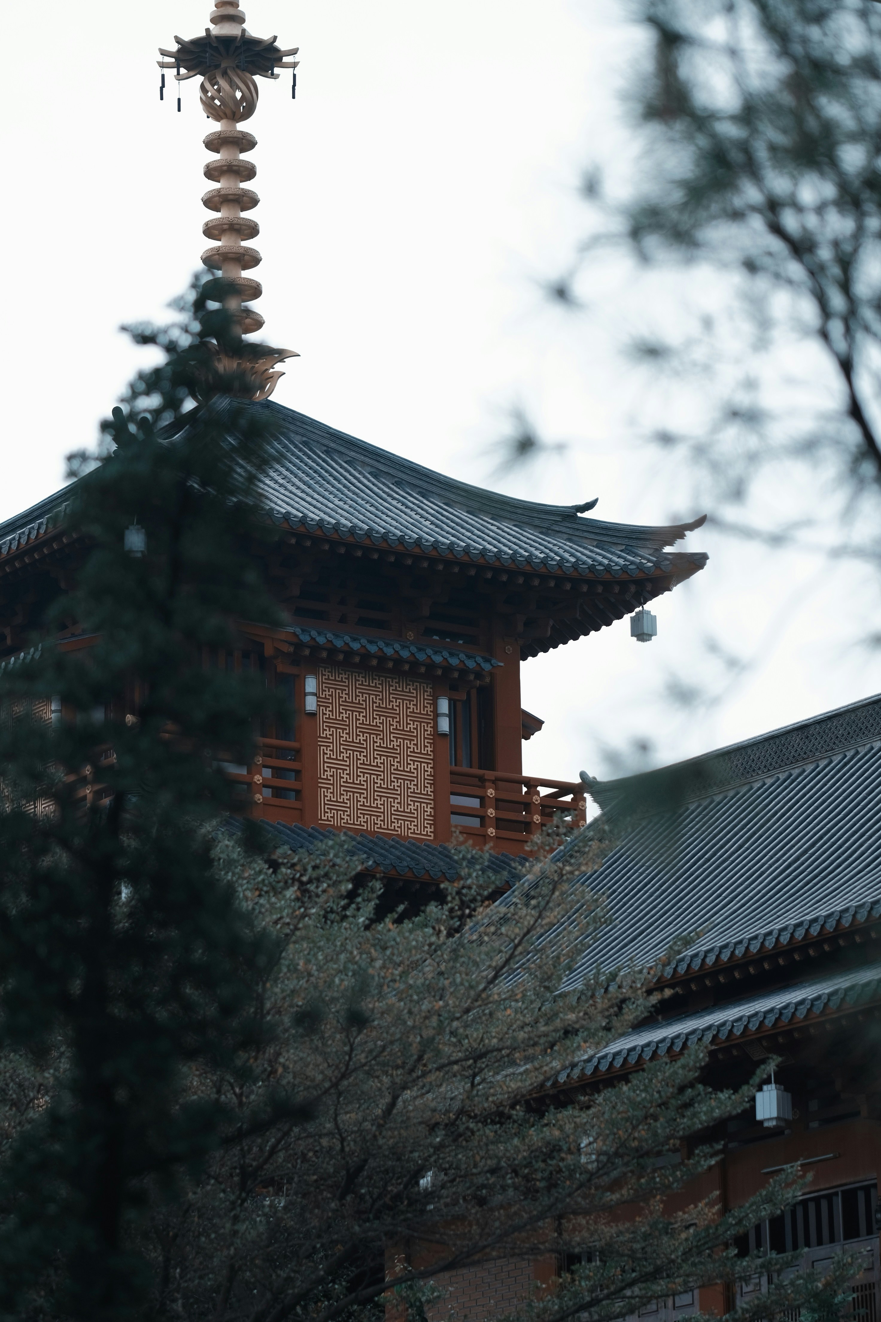 Photo by nguyentrungnguyen