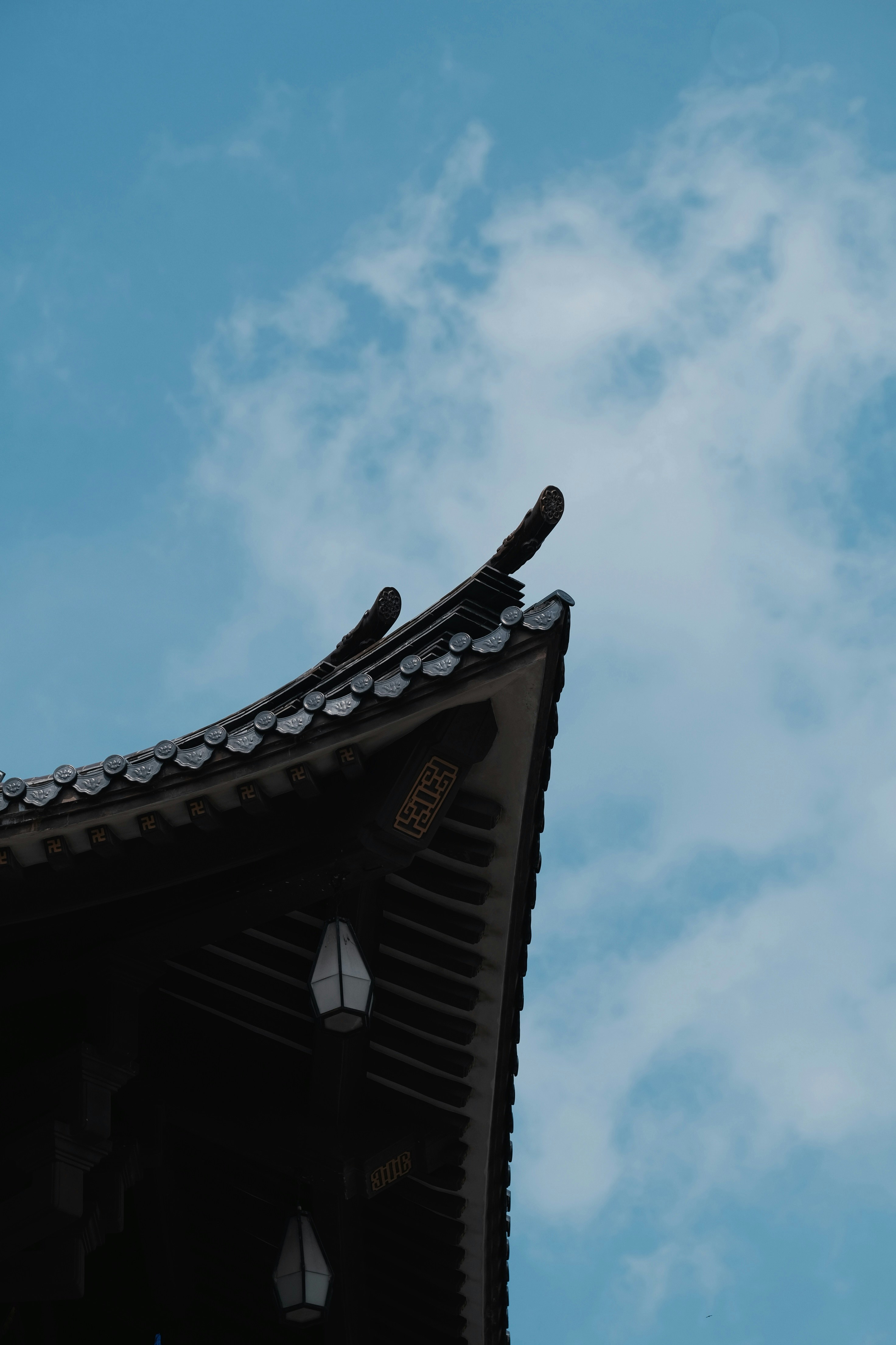 Photo by nguyentrungnguyen