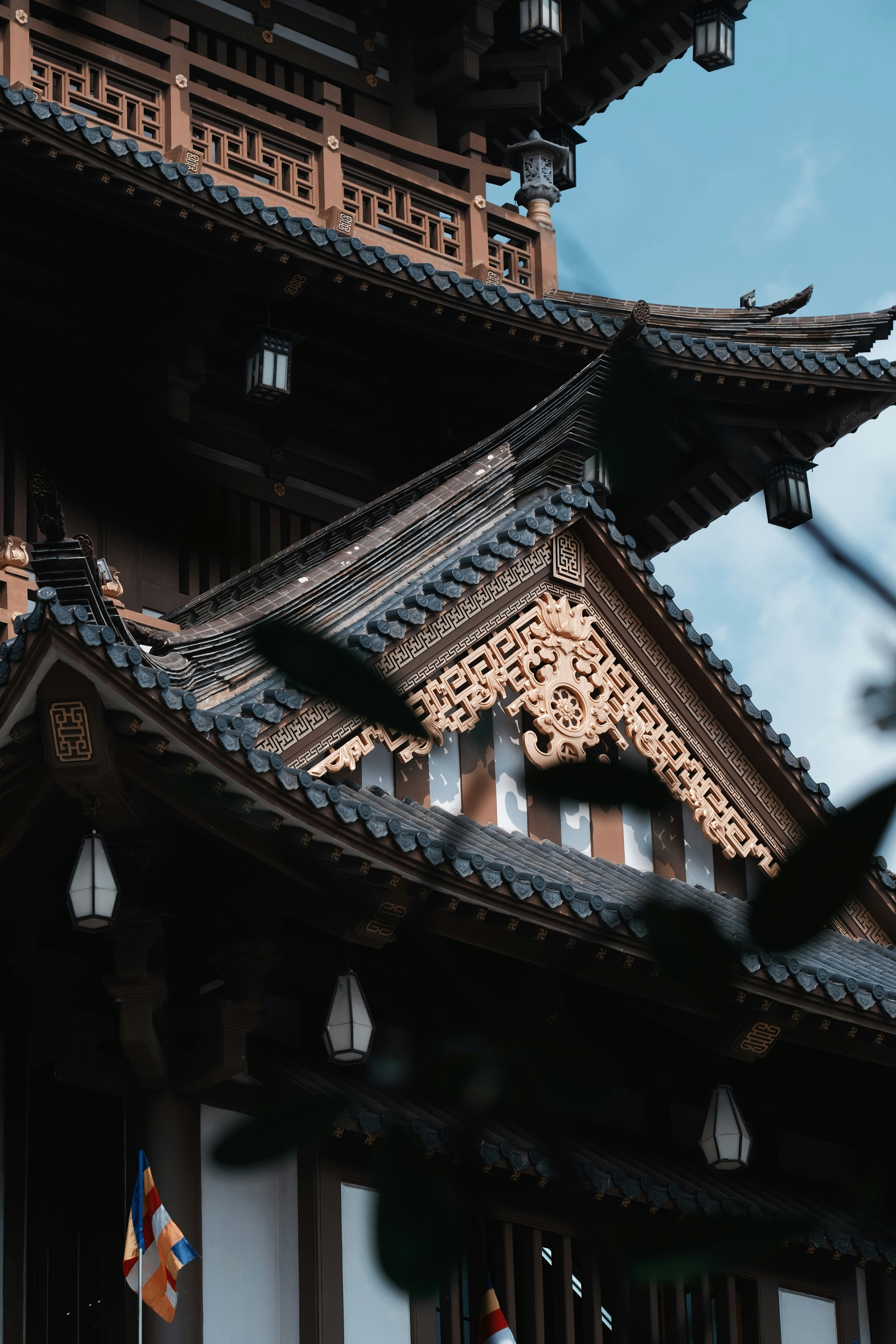 Photo by nguyentrungnguyen