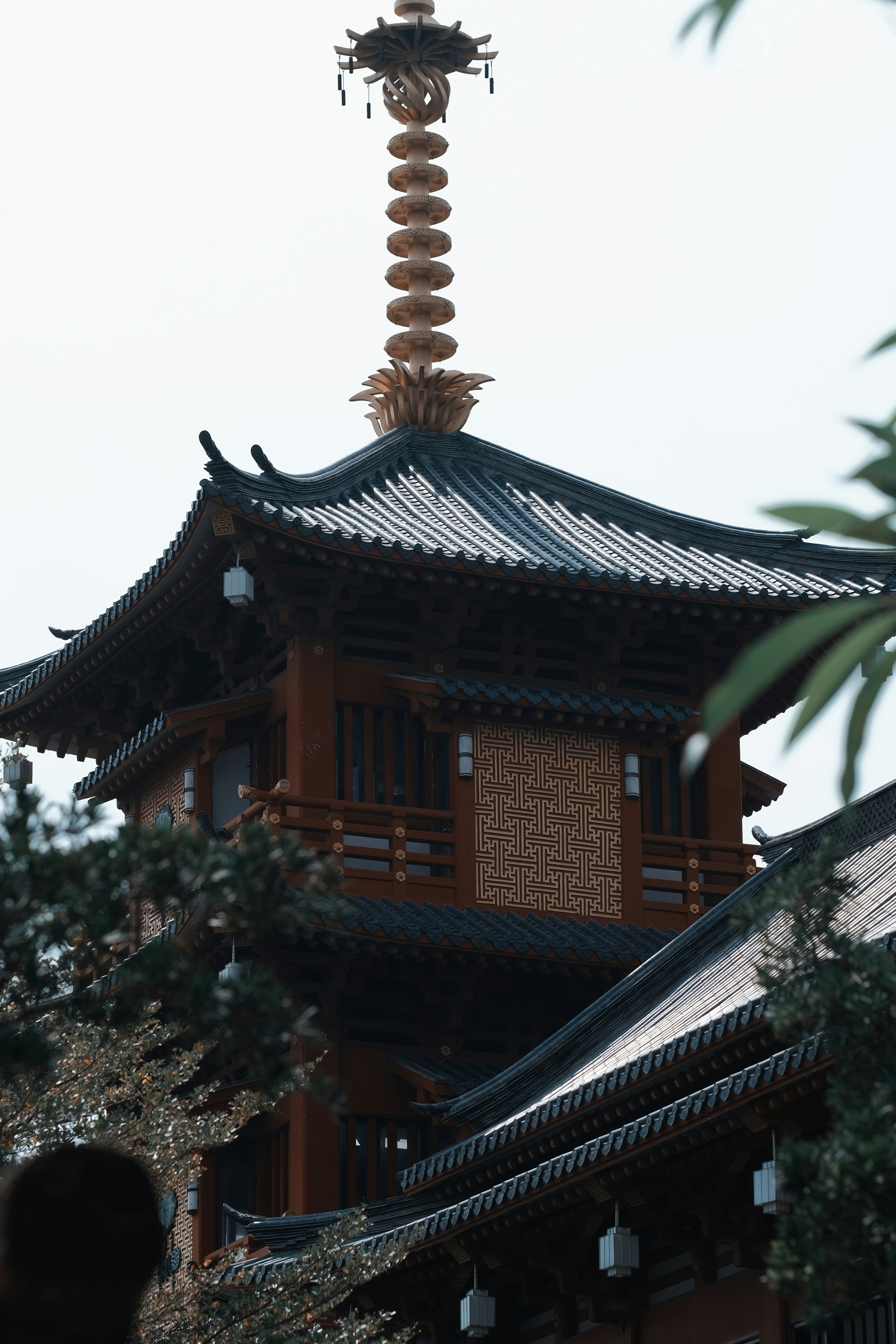 Photo by nguyentrungnguyen