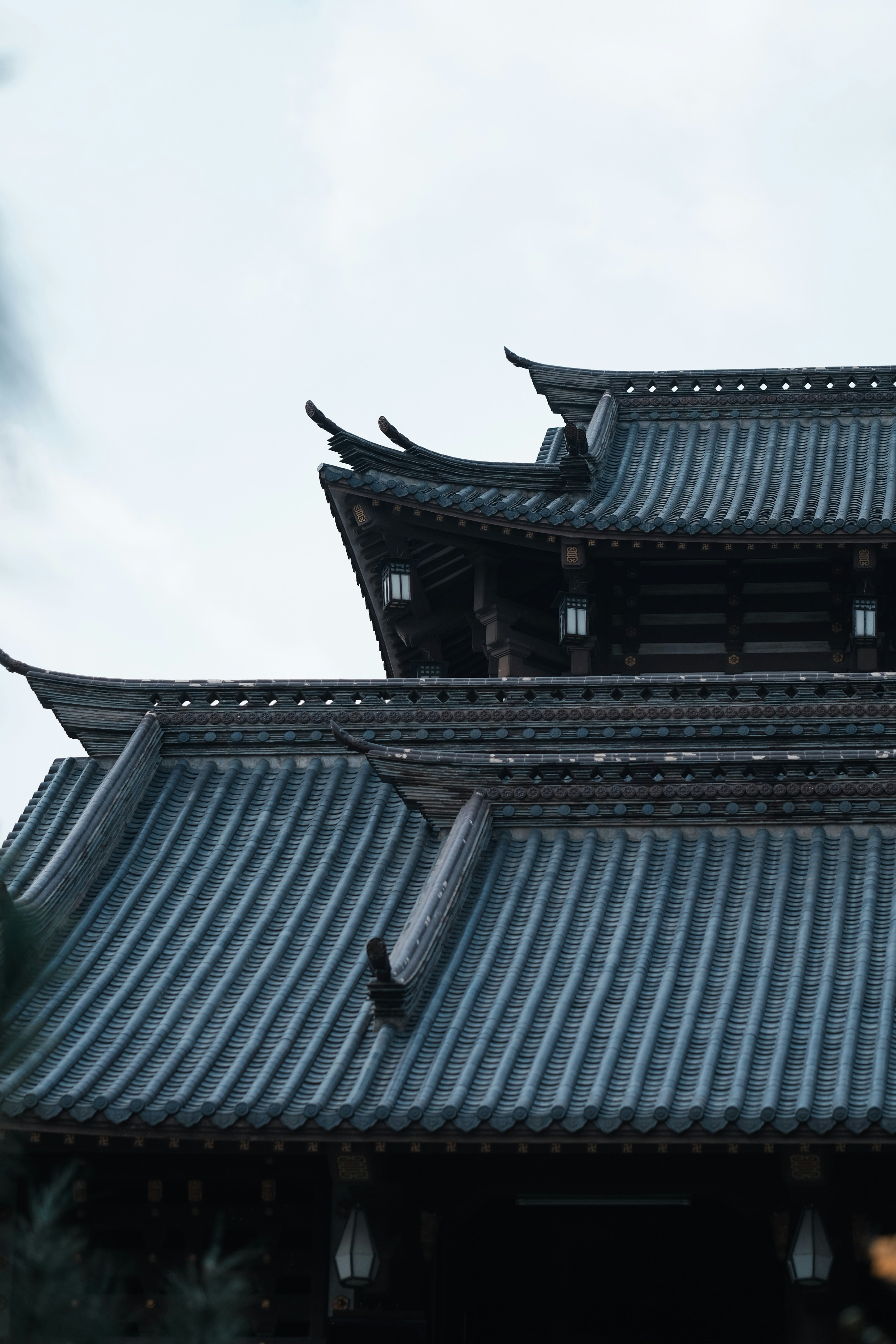 Photo by nguyentrungnguyen