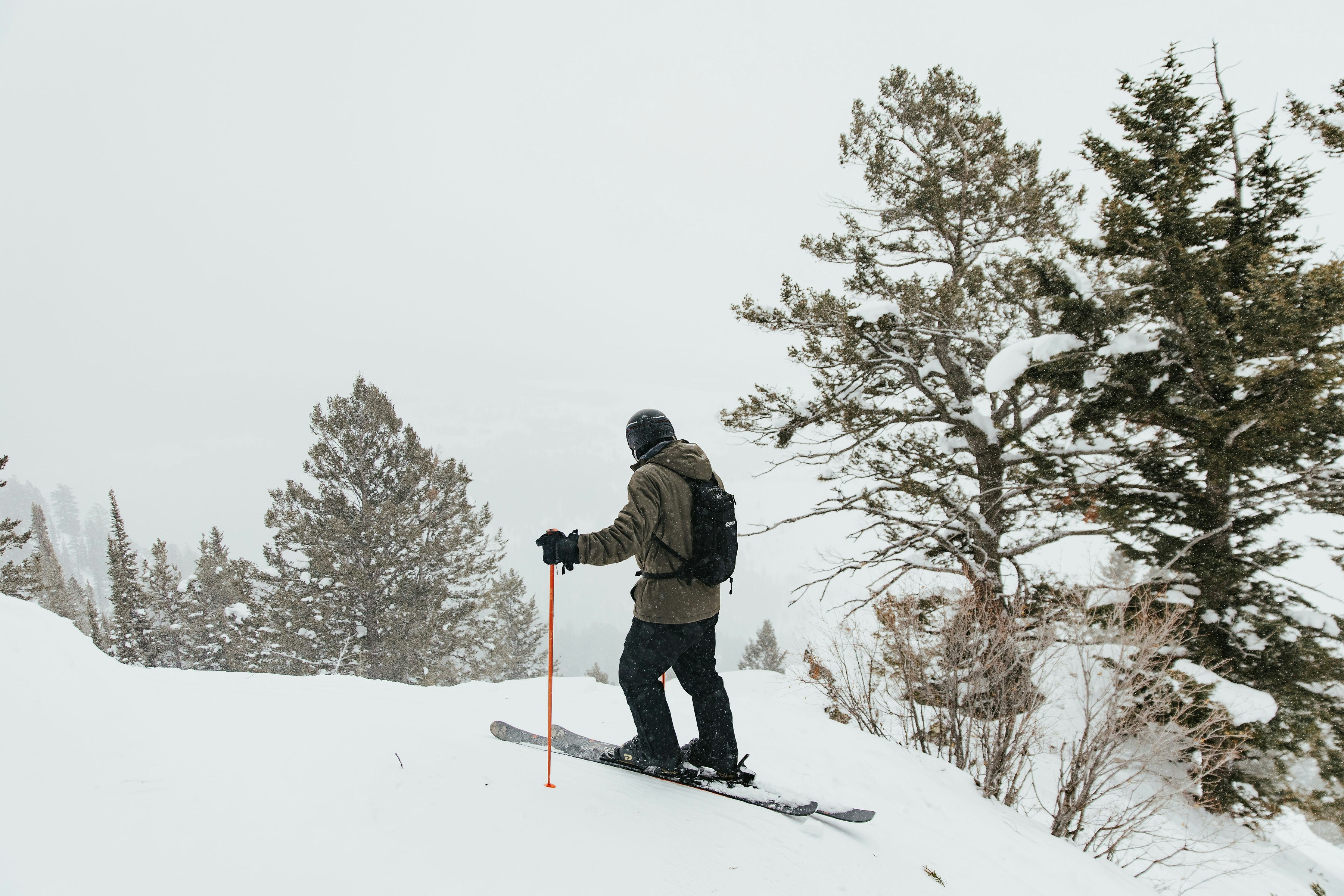 벚꽃길에서 인물 사진 잘 찍는 법, 구도 꿀팁 공개