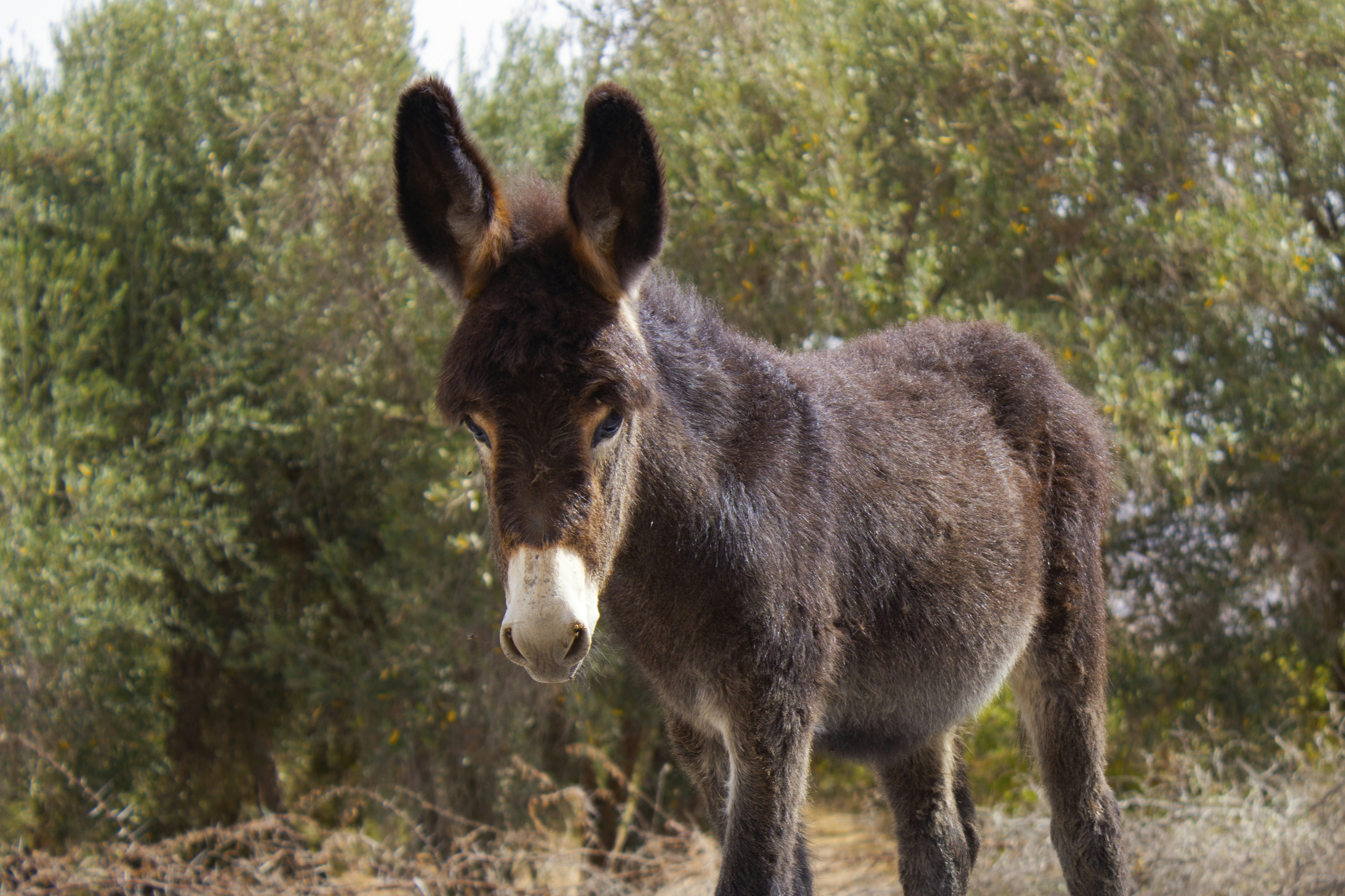 Photo by happy_sad_repeat