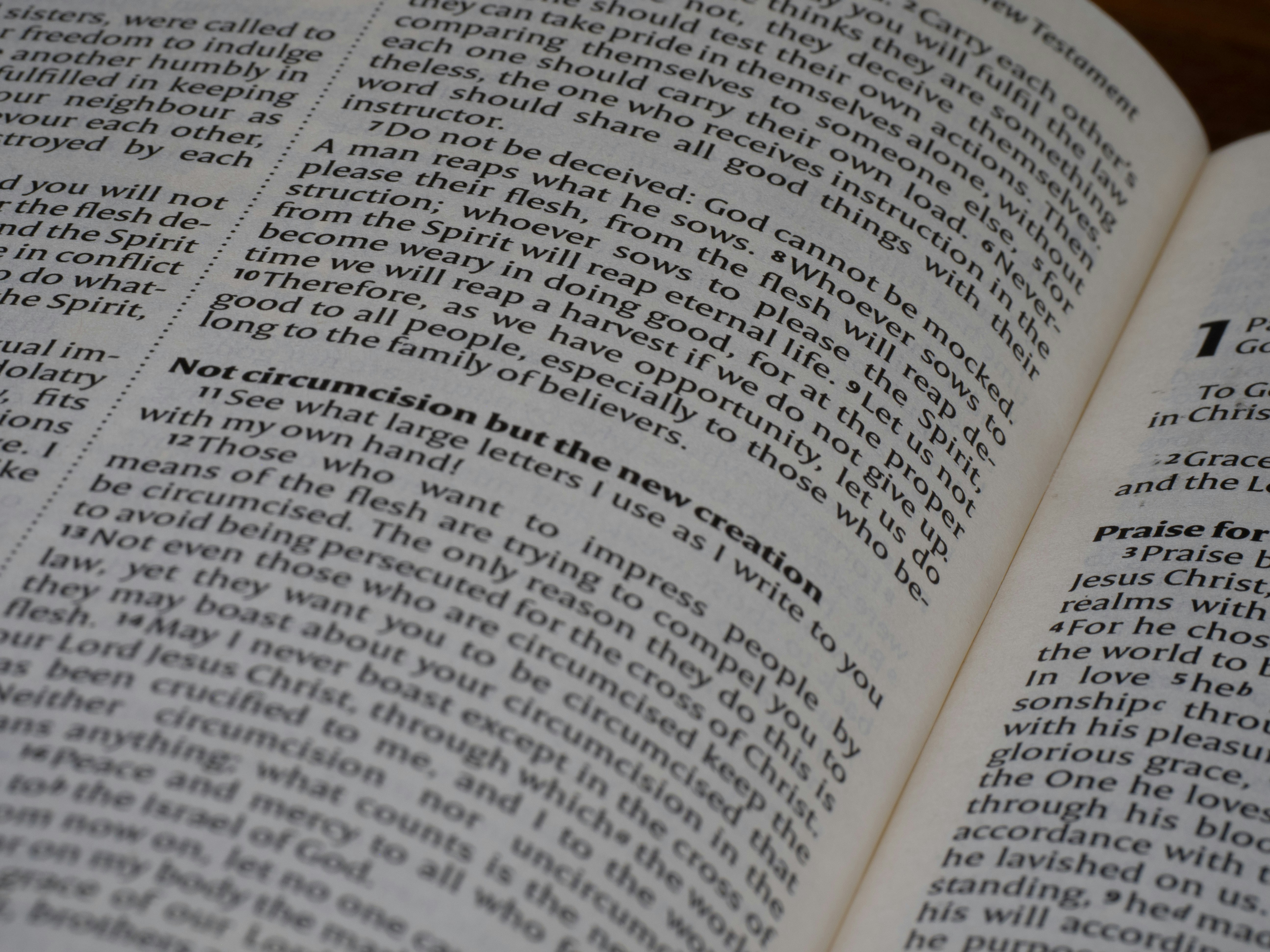 Photo by brett_jordan