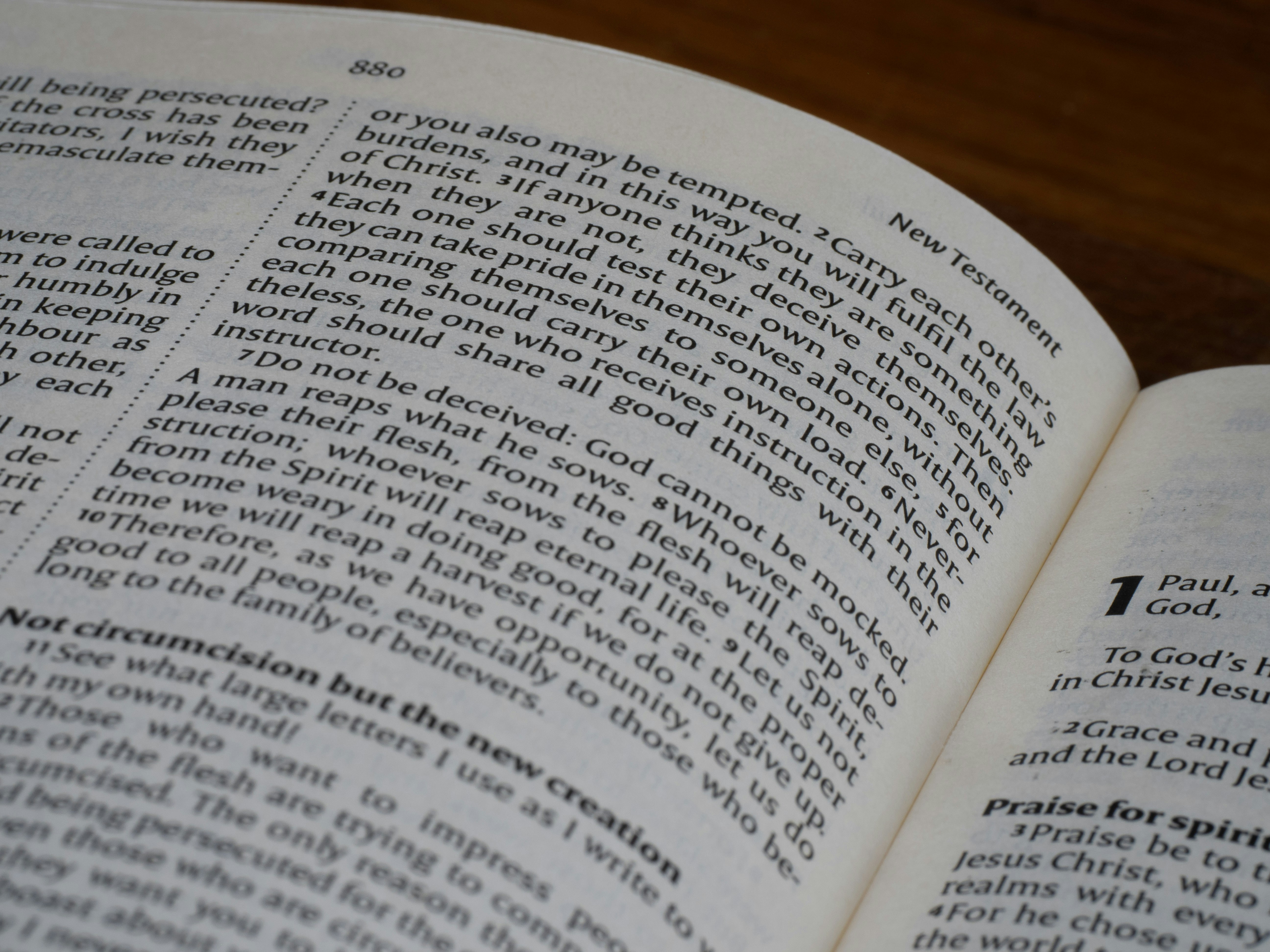 Photo by brett_jordan