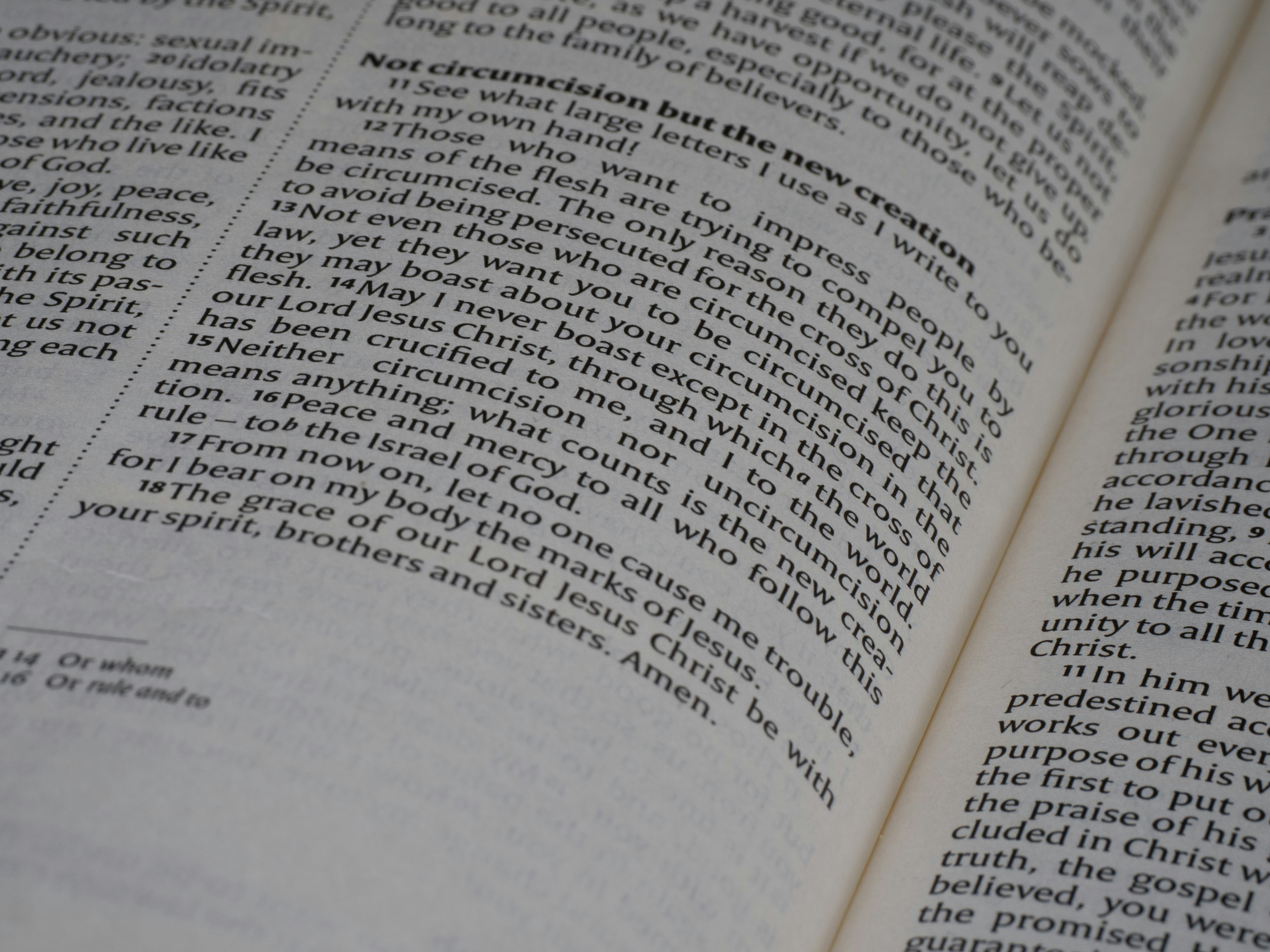 Photo by brett_jordan