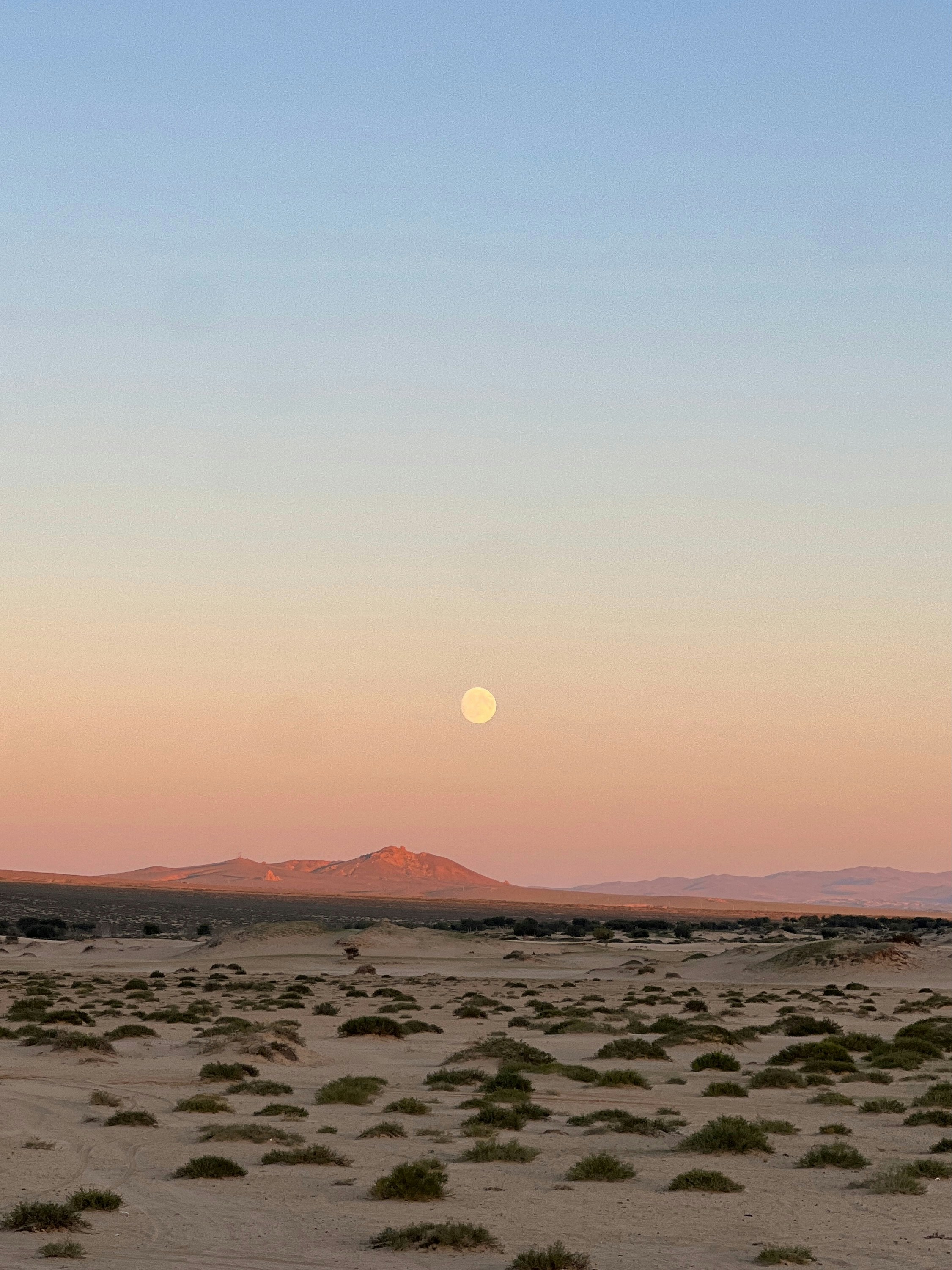 The moon is setting in the sky over the desert
