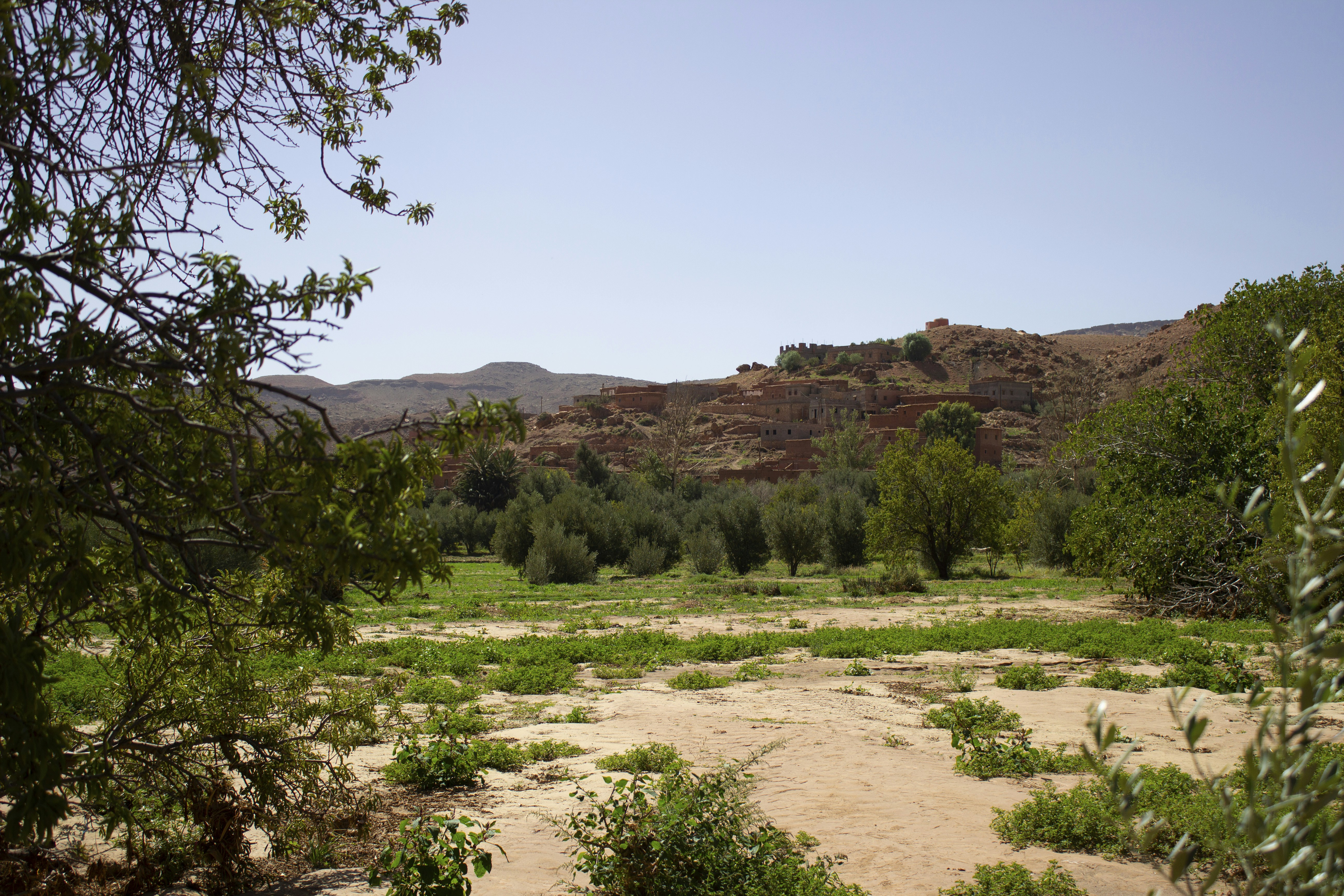 A dirt field with trees and mountains in the background