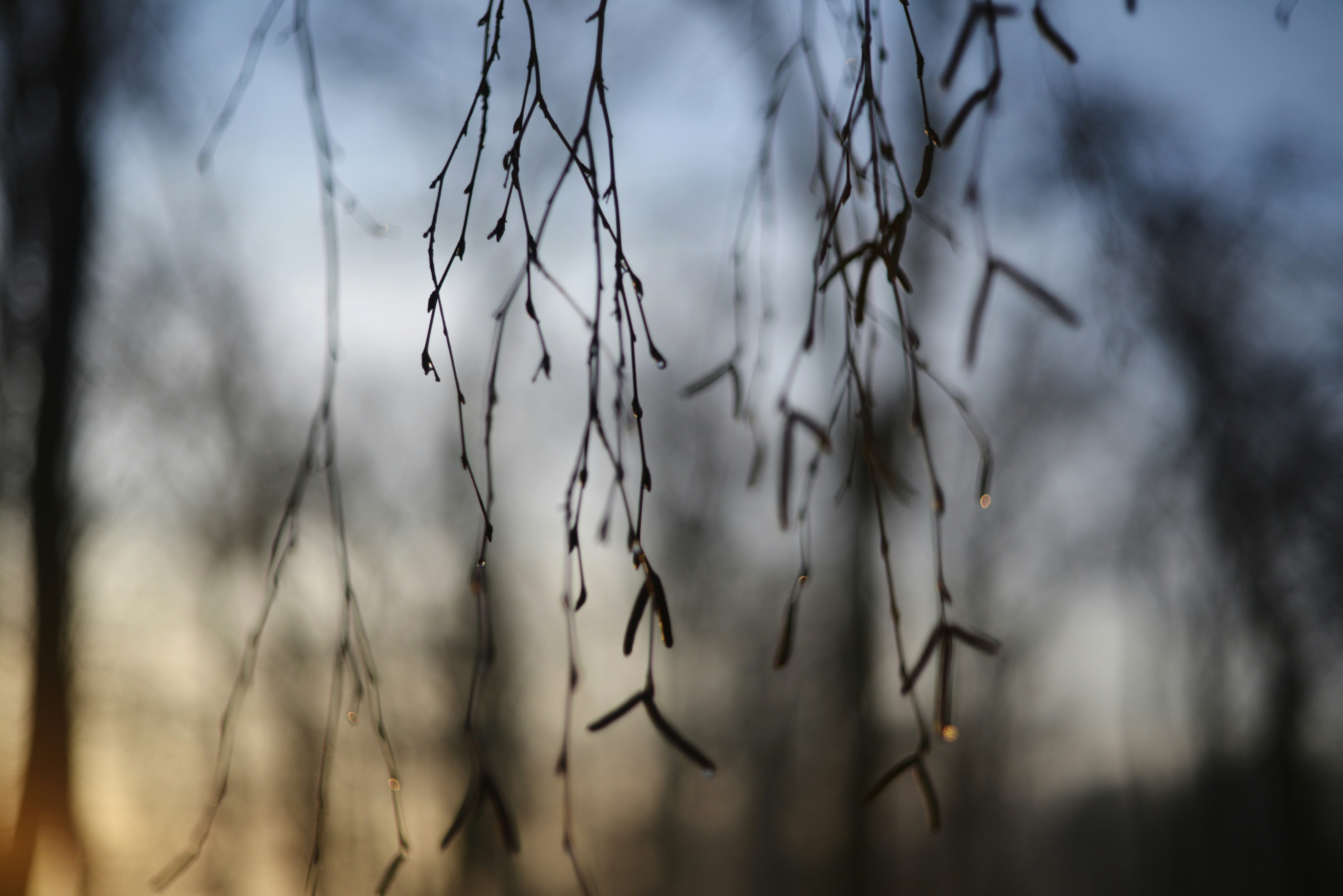 Photo by cherstve_pechivo