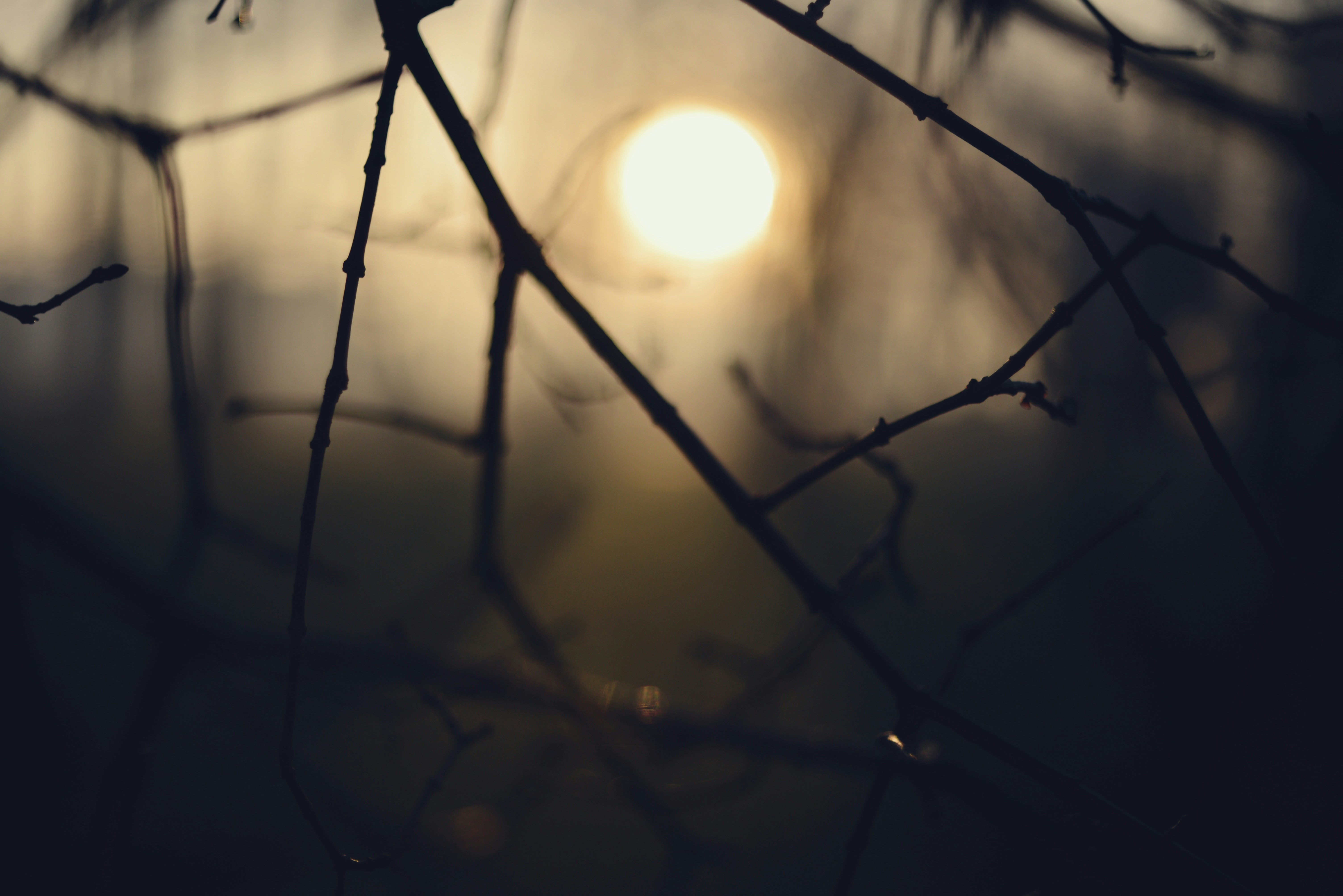 Photo by cherstve_pechivo