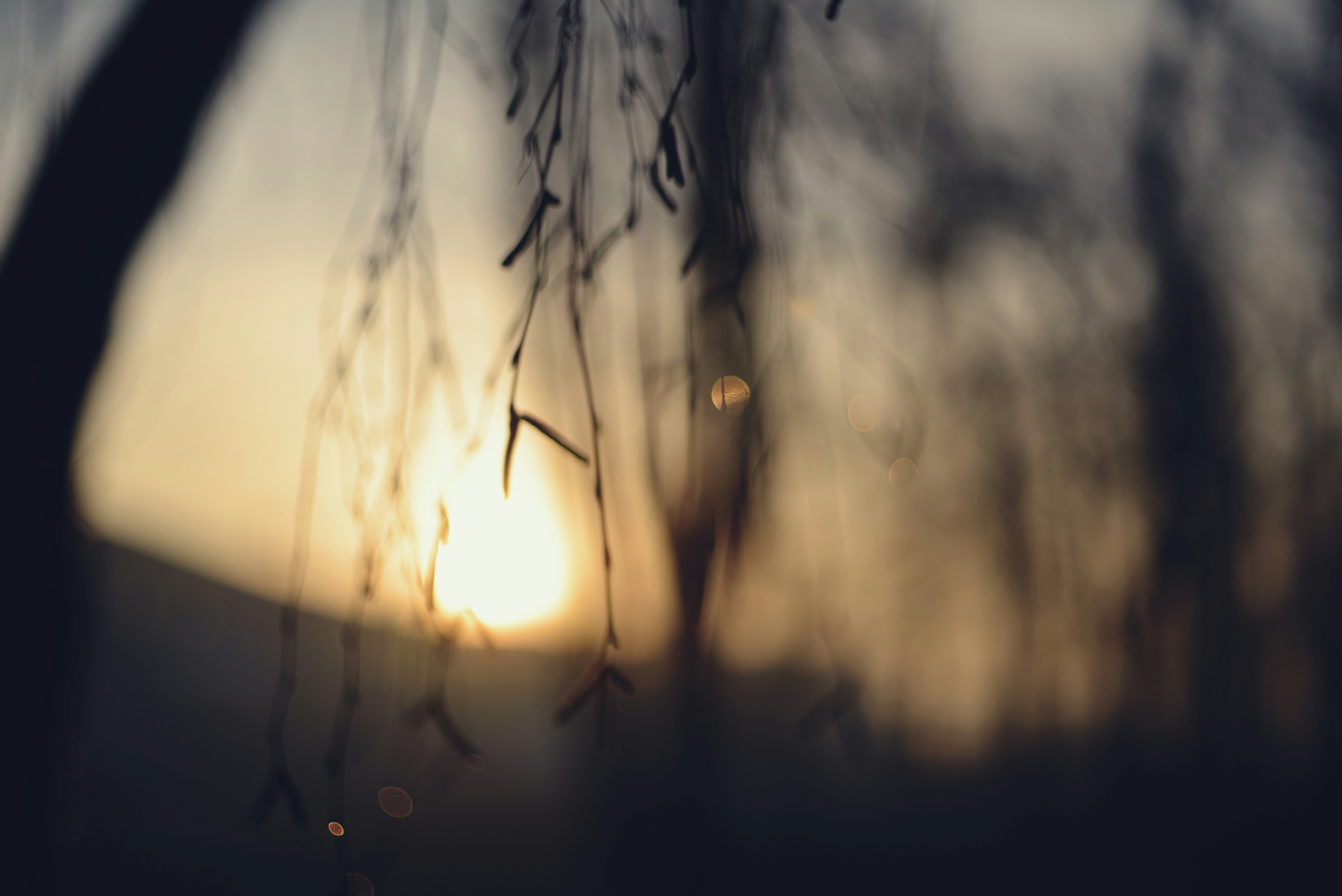 Photo by cherstve_pechivo