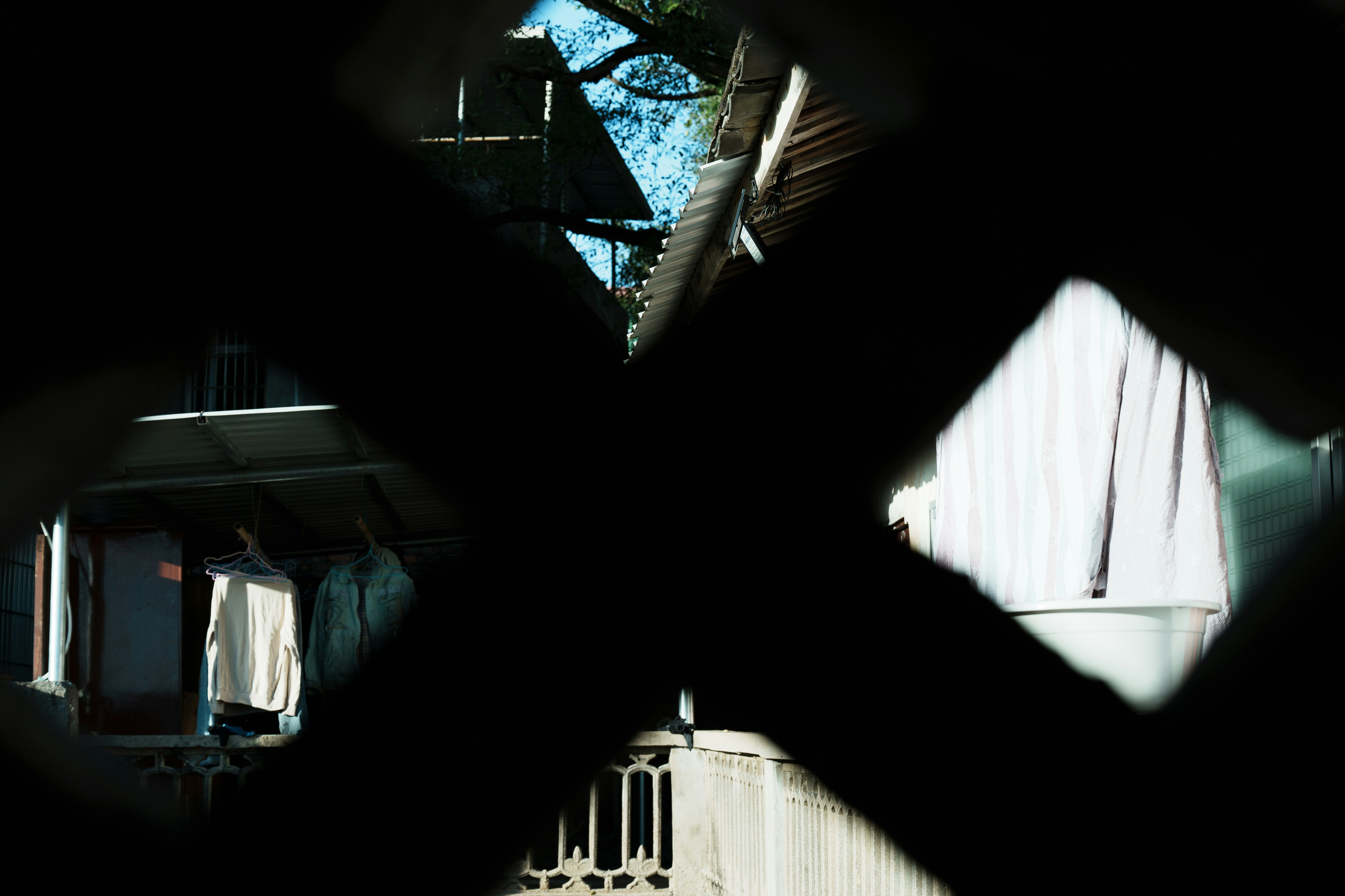 2026 Alert: X's Grok Image Control Fails AI Risk Test episode artwork