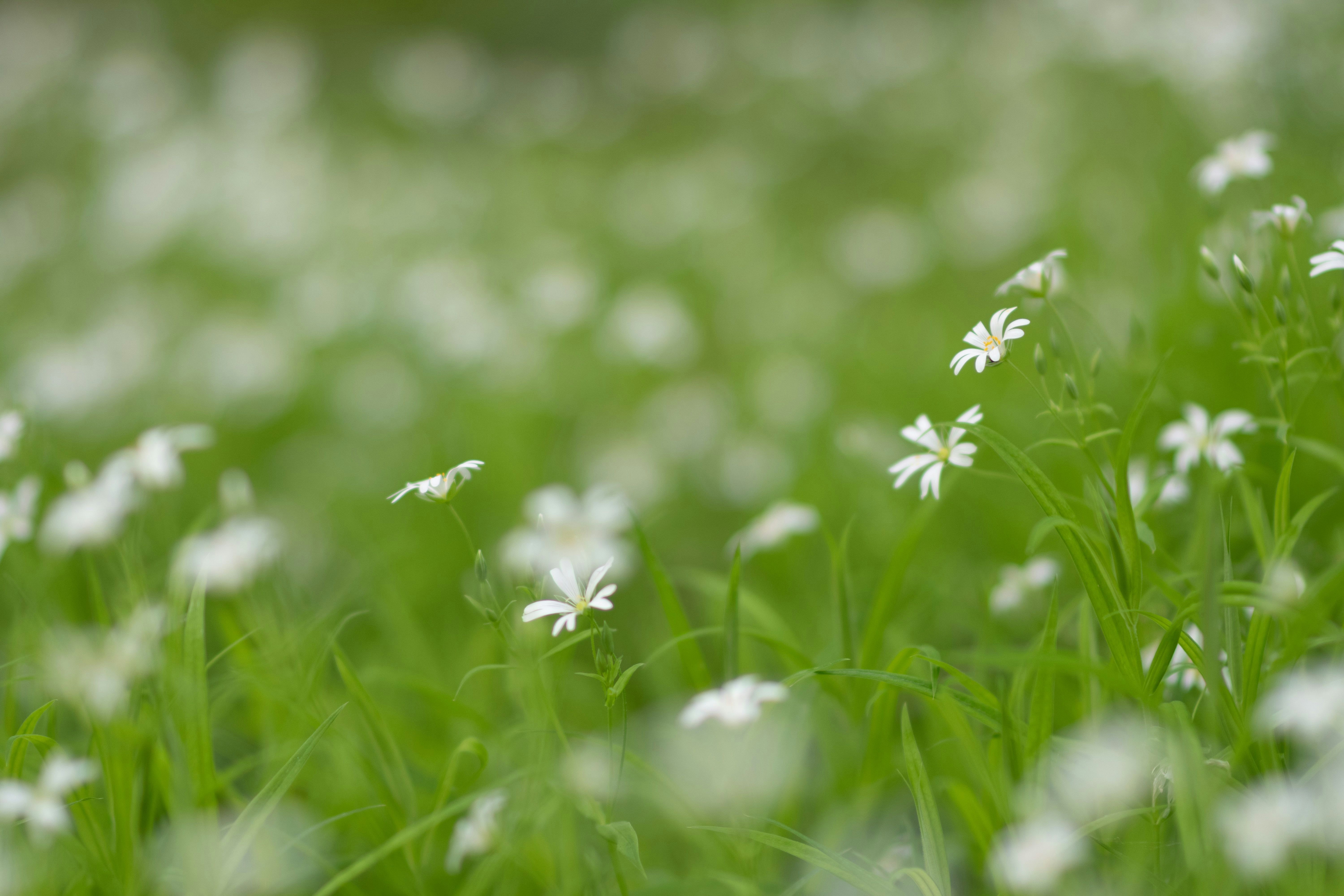 Photo by sevencolors