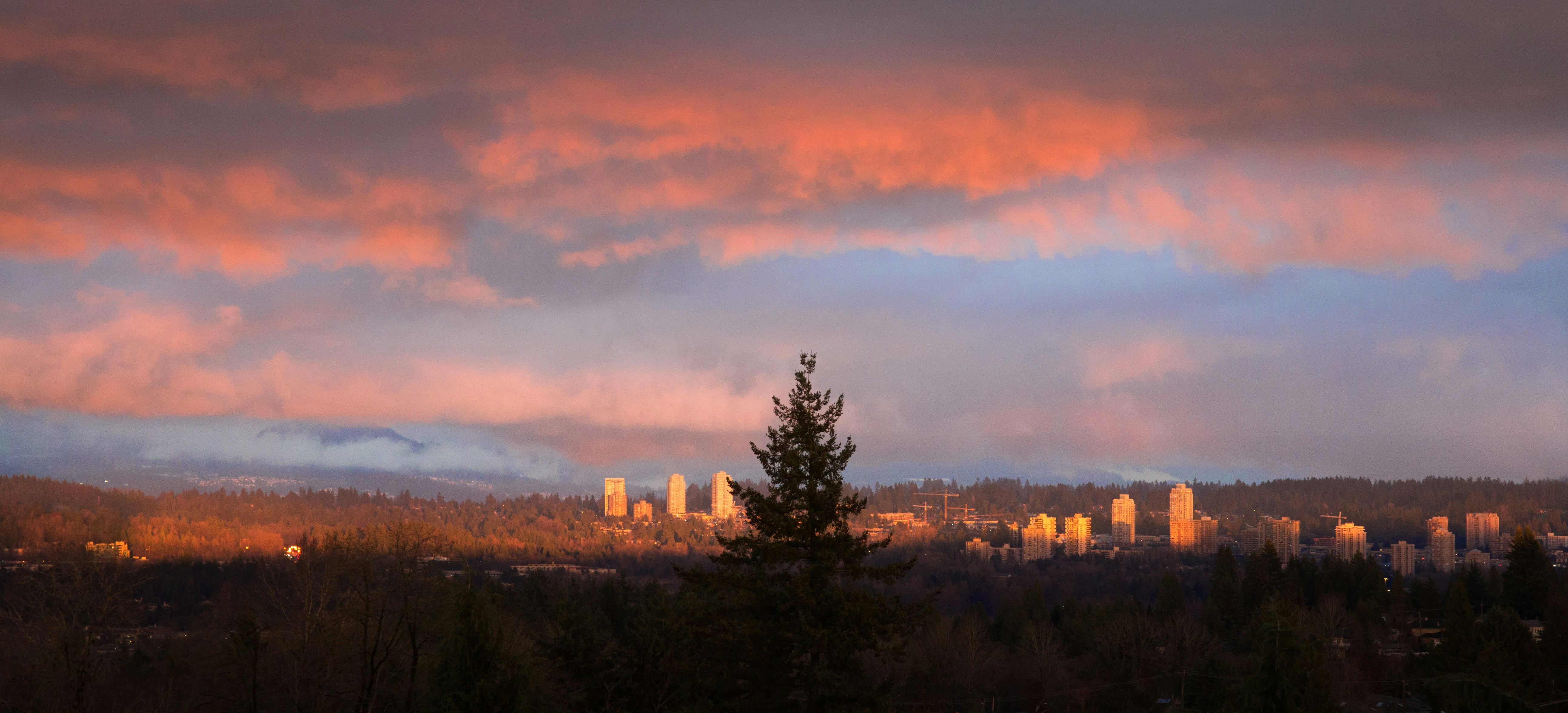 Containers in Big Bear City, CA