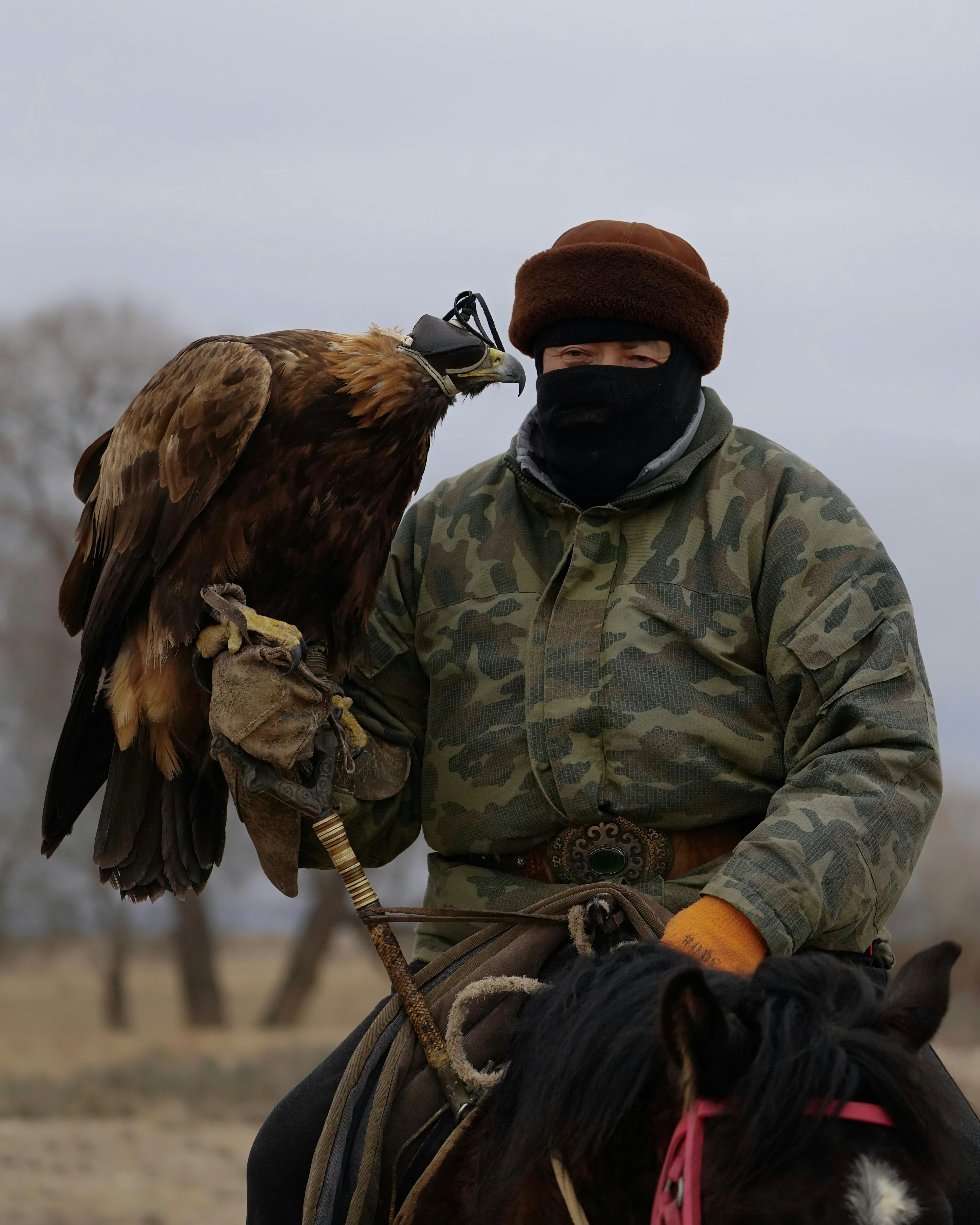 A man on a horse with a bird on his arm