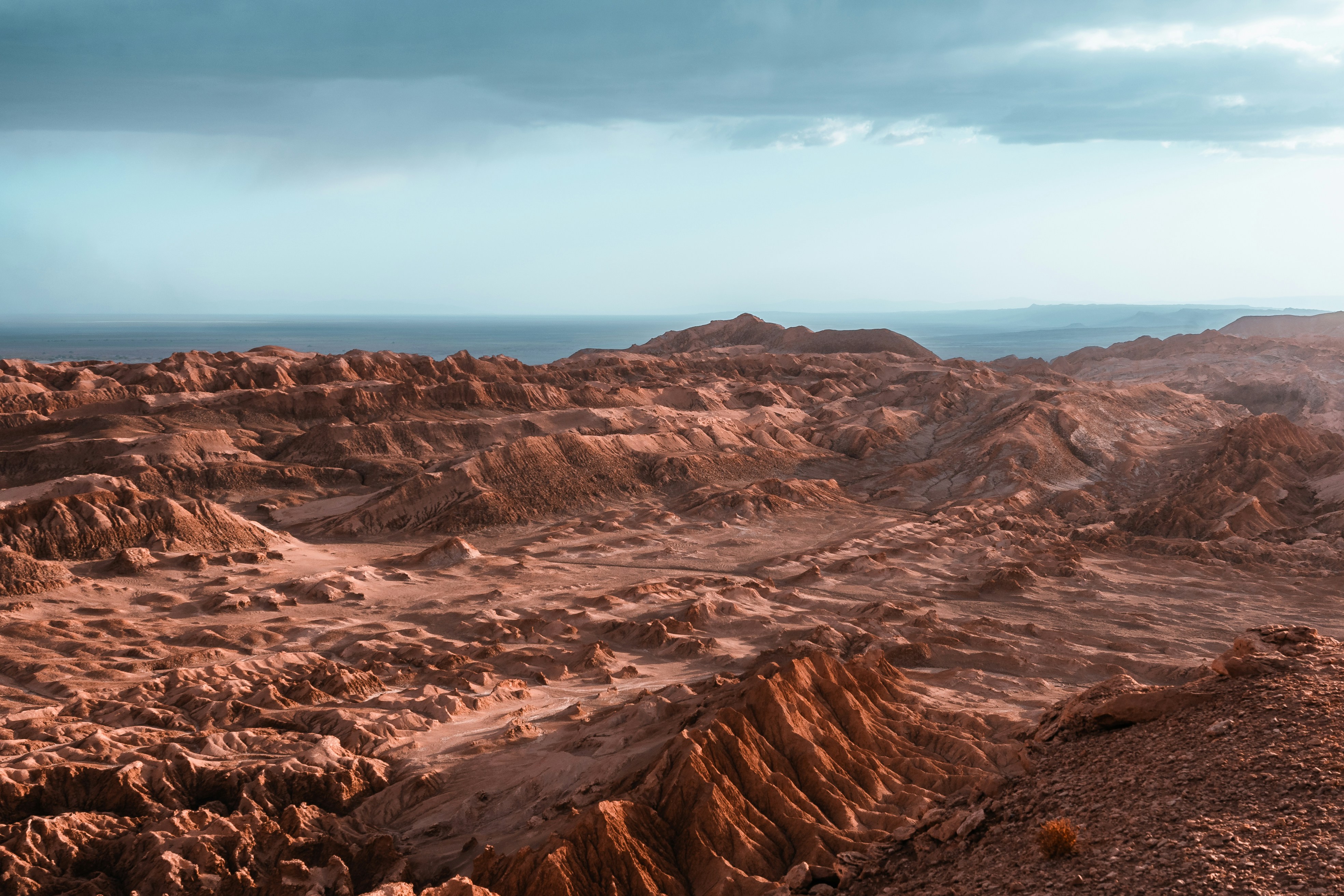 Photo by willianjusten