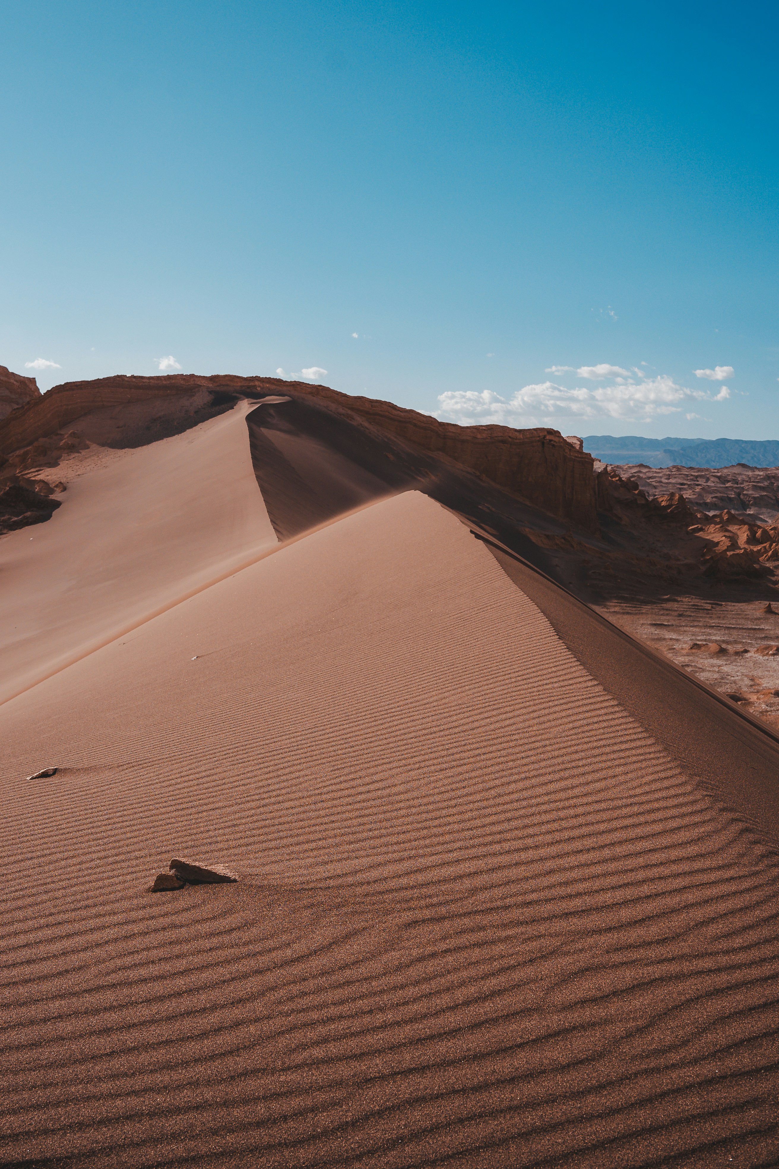 Photo by willianjusten