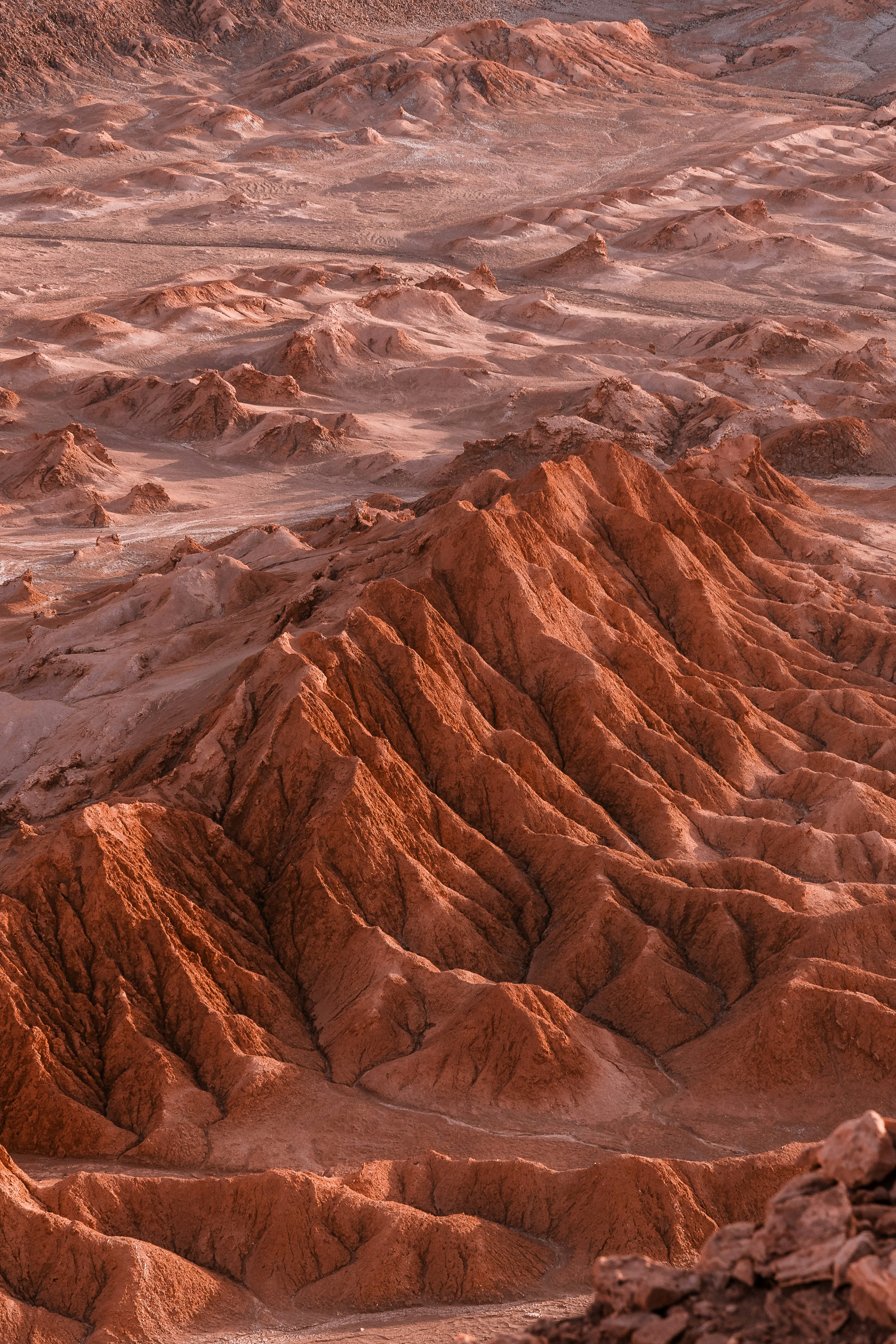 Photo by willianjusten