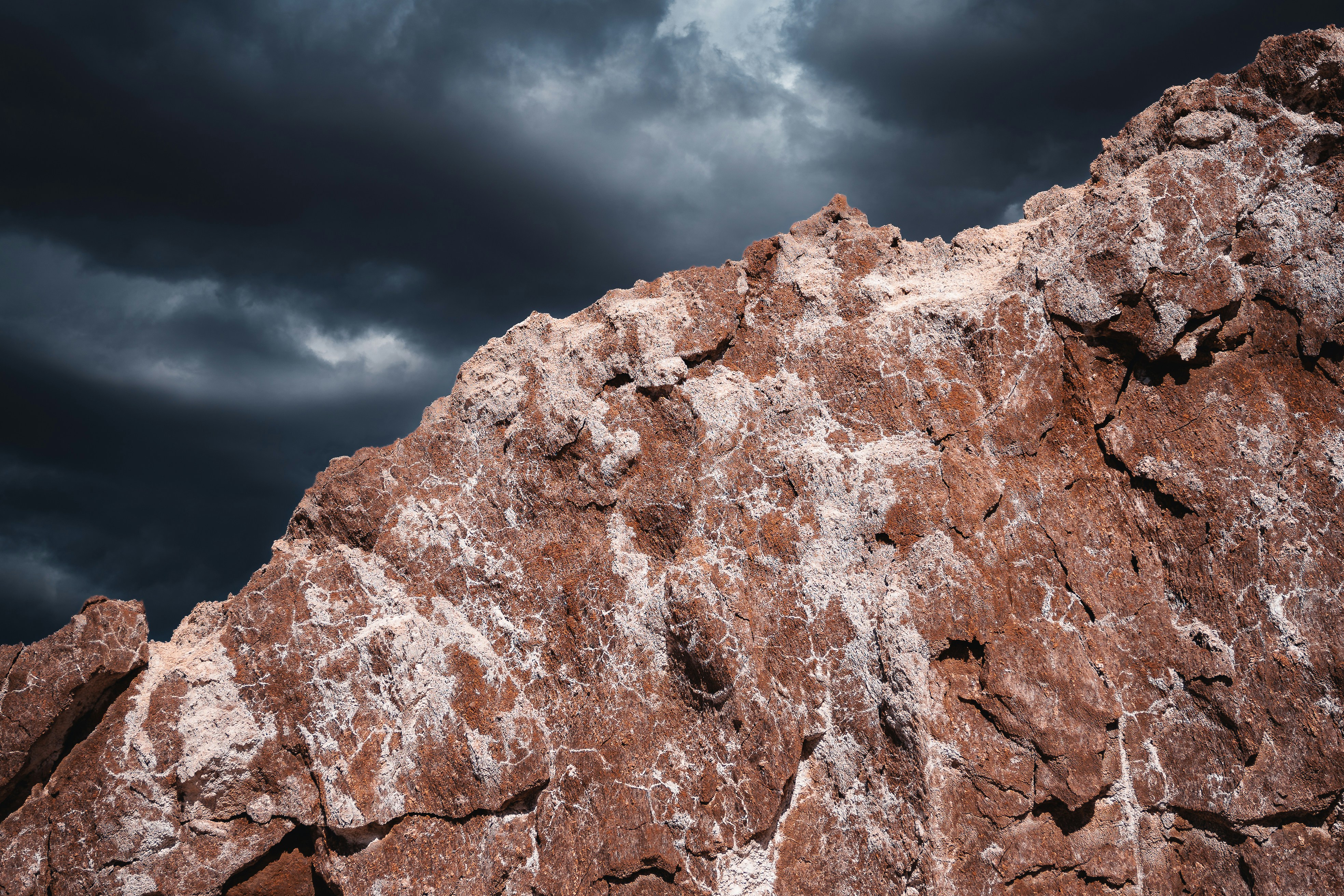 Photo by willianjusten