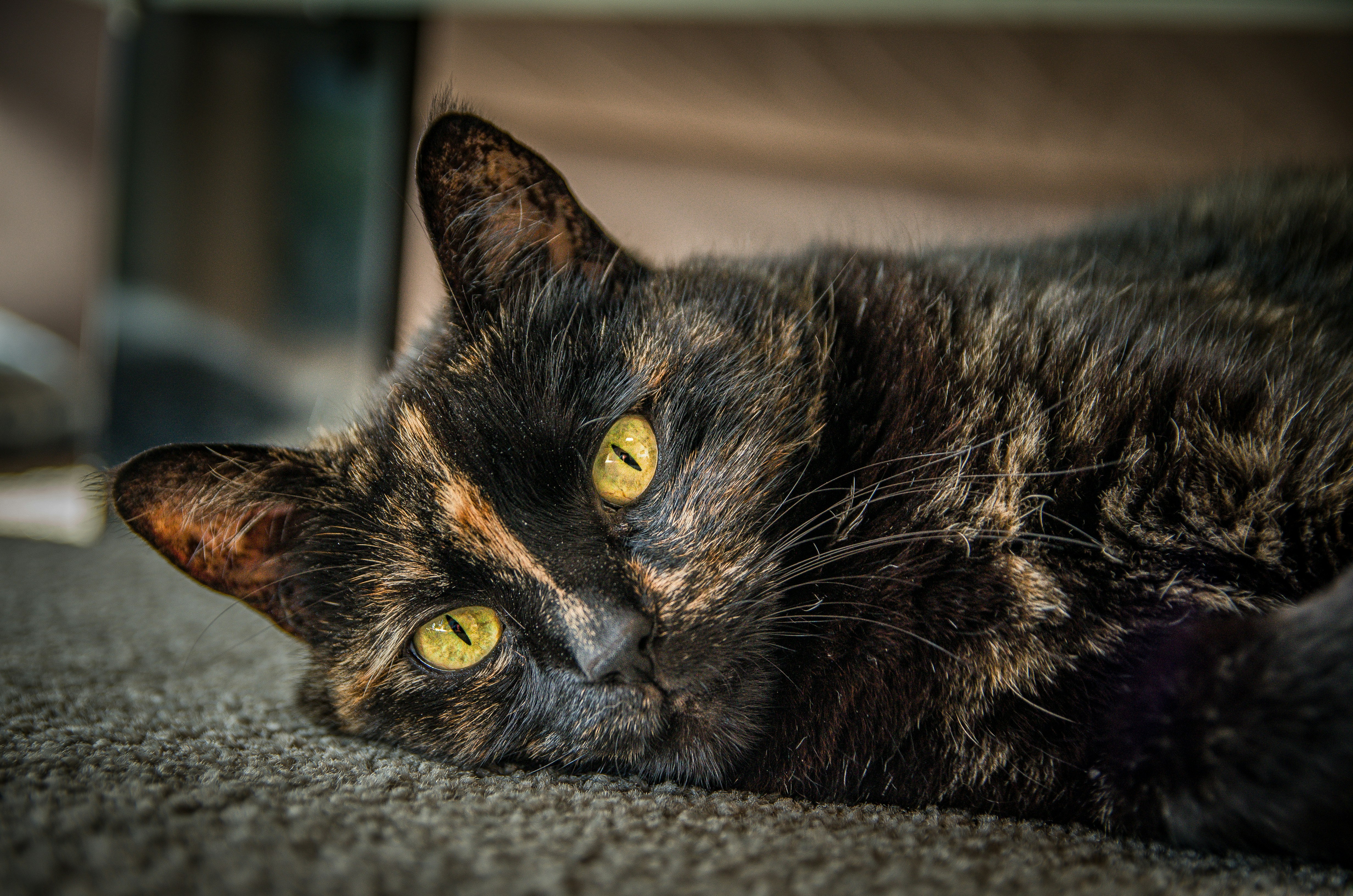 Photo by framesofdiscovery