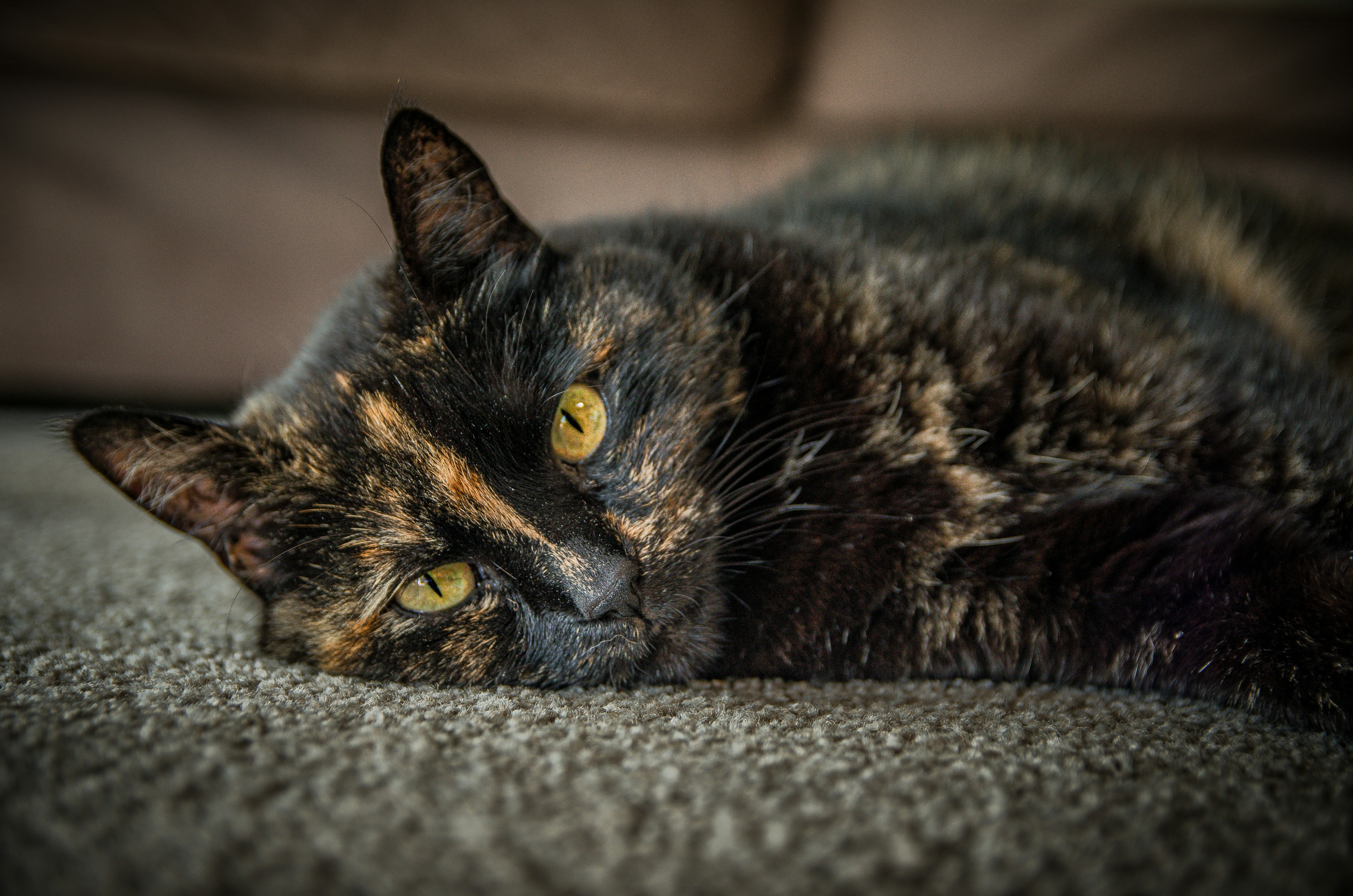 Photo by framesofdiscovery