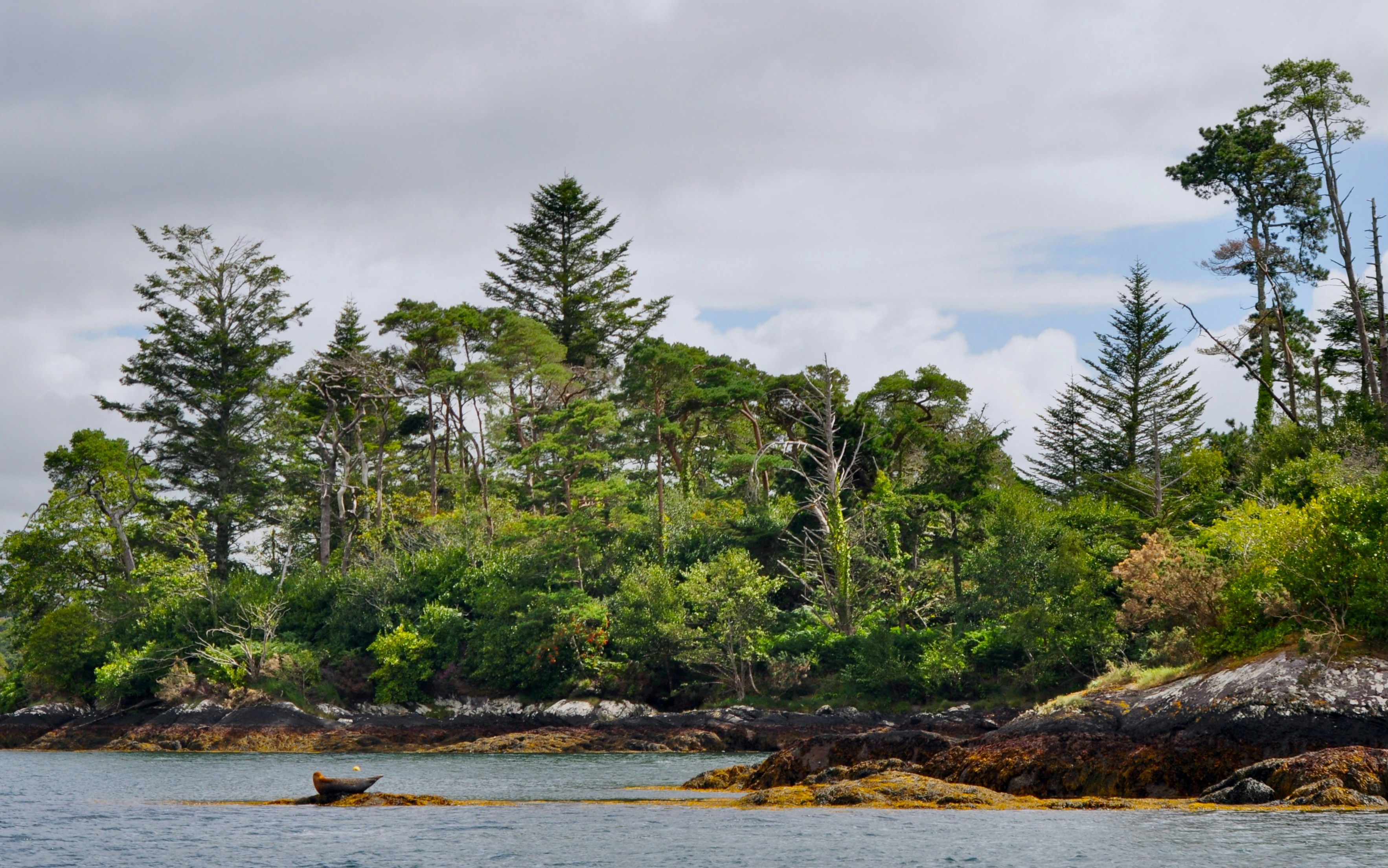 Photo by sergi_vision