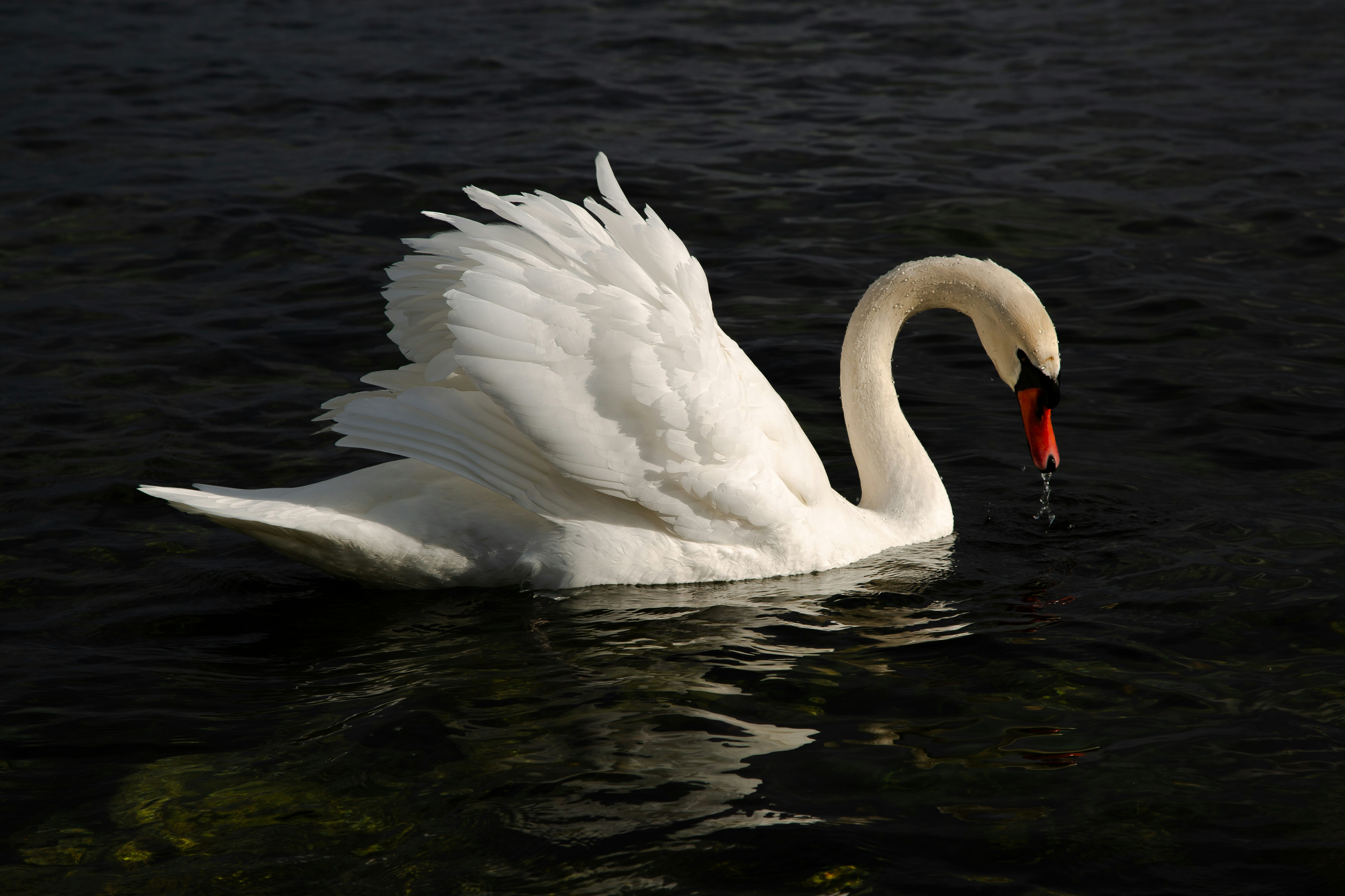 Photo by sofiatheexplorer