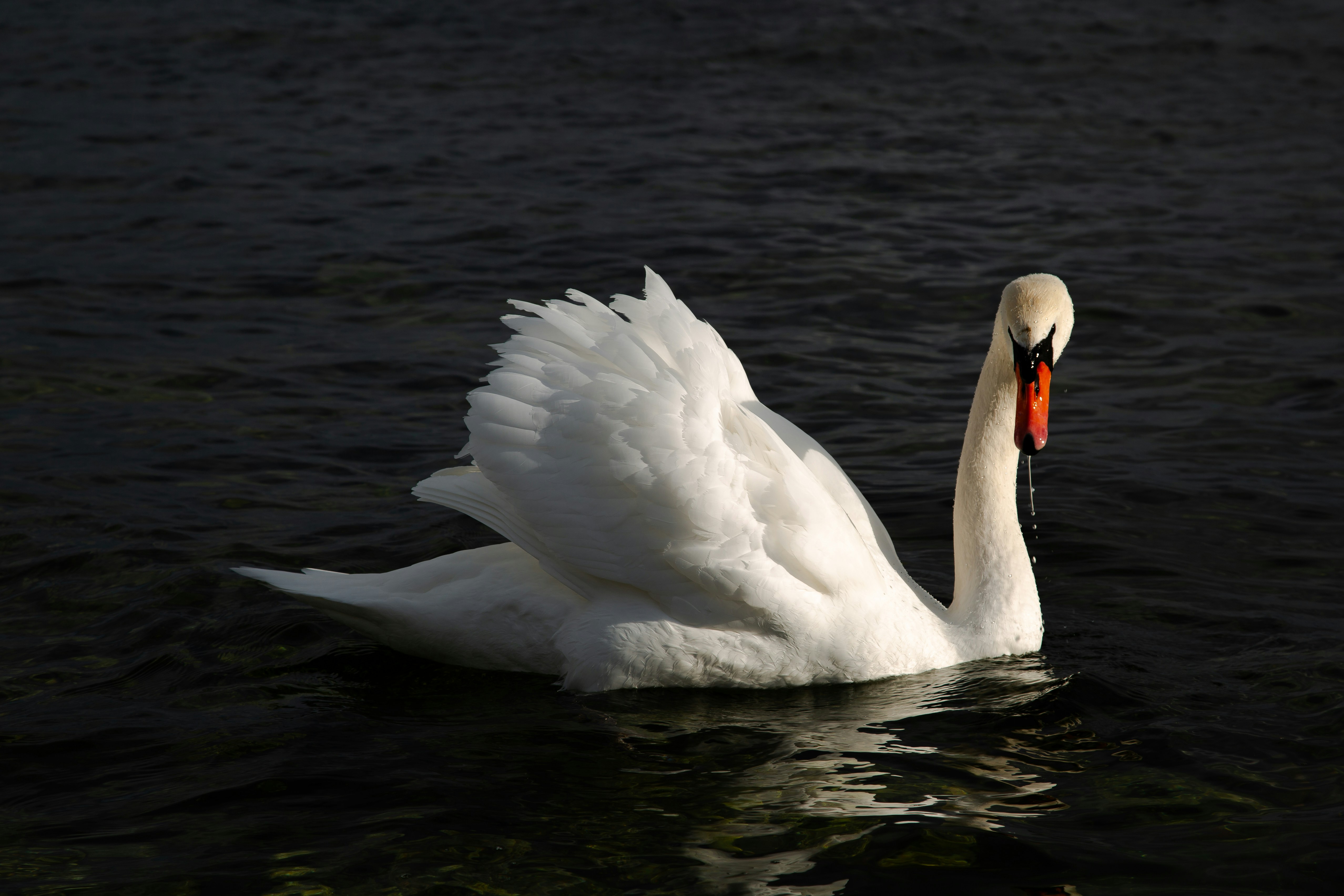 Photo by sofiatheexplorer