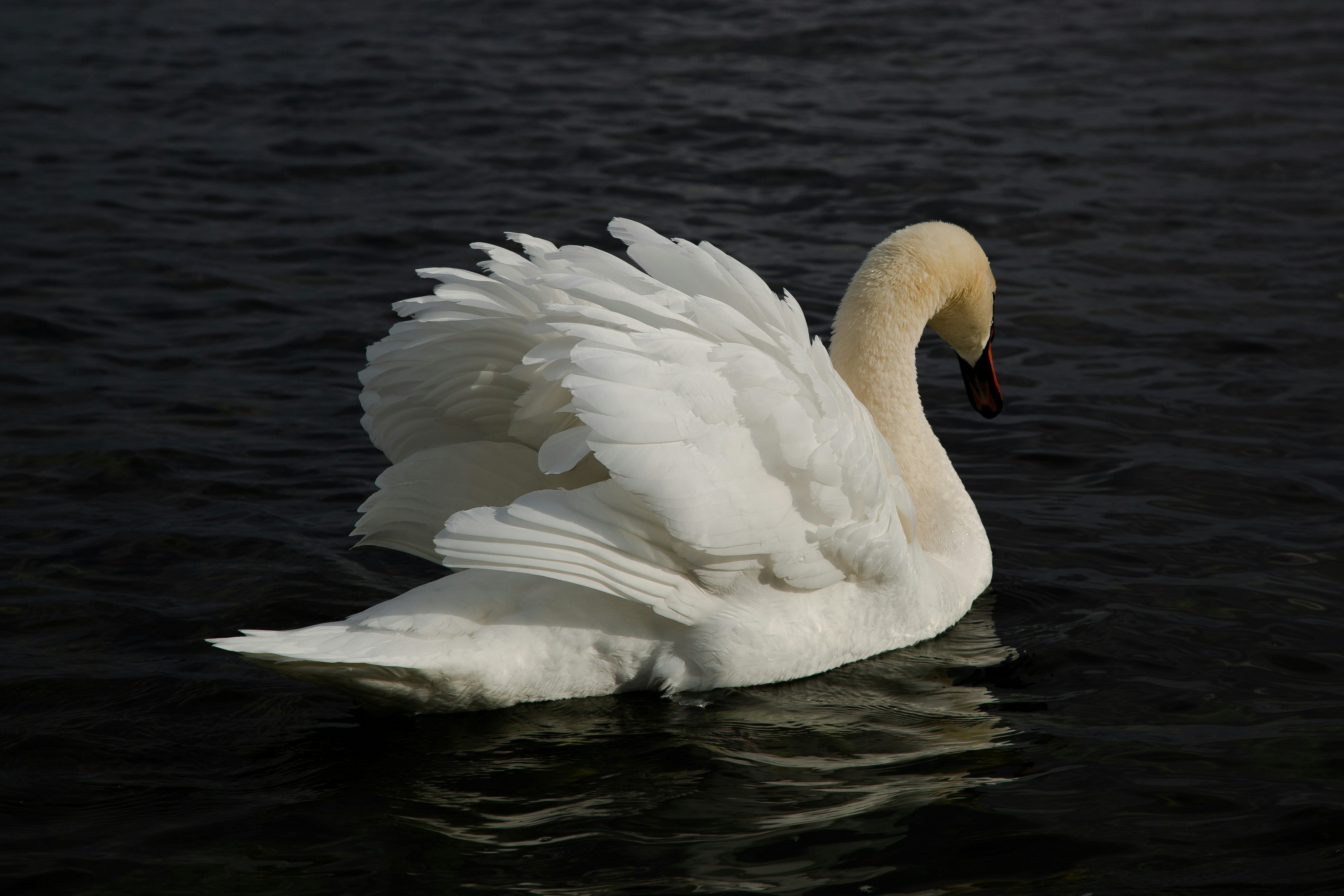 Photo by sofiatheexplorer