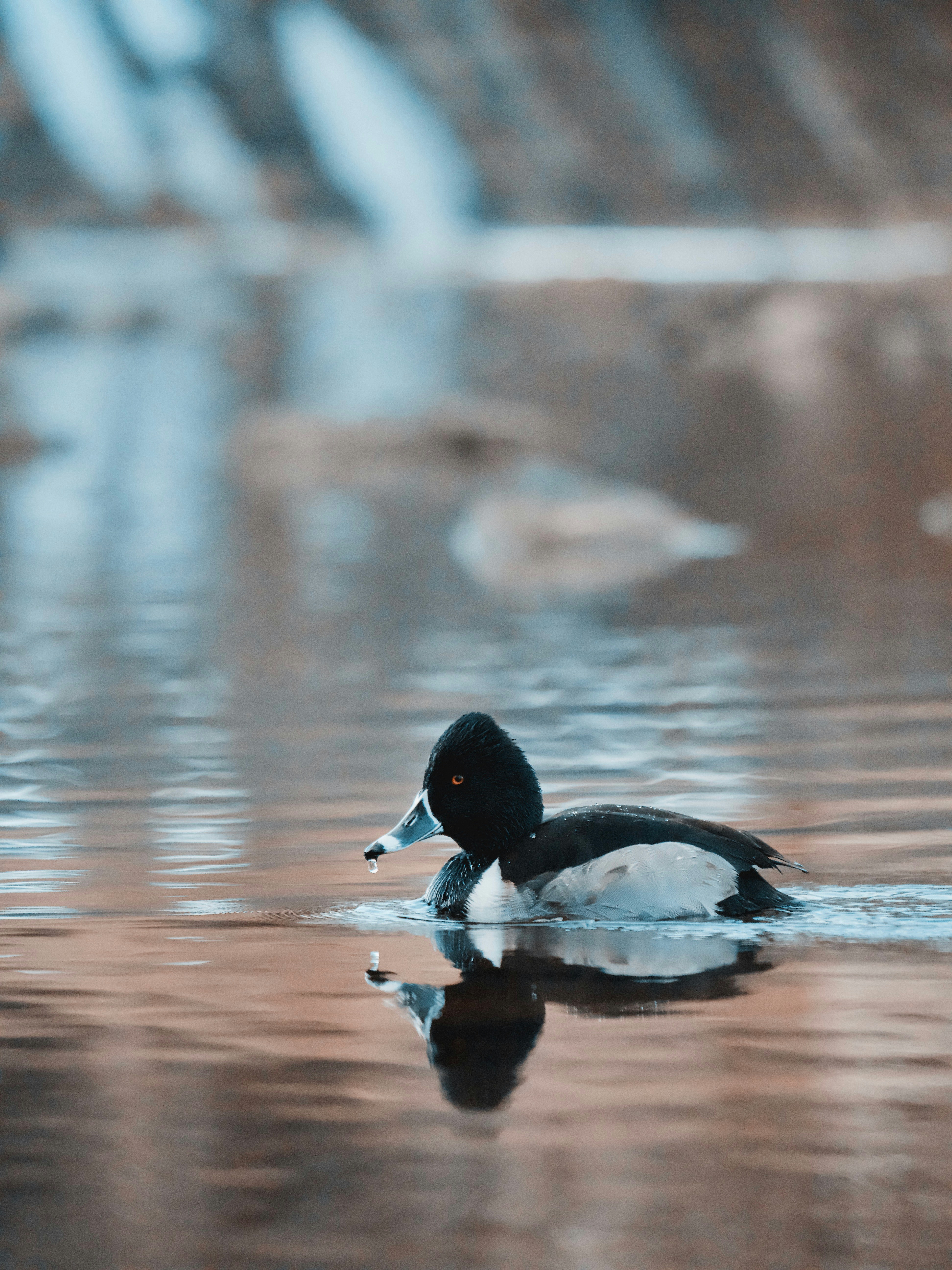 Photo by aaronburden