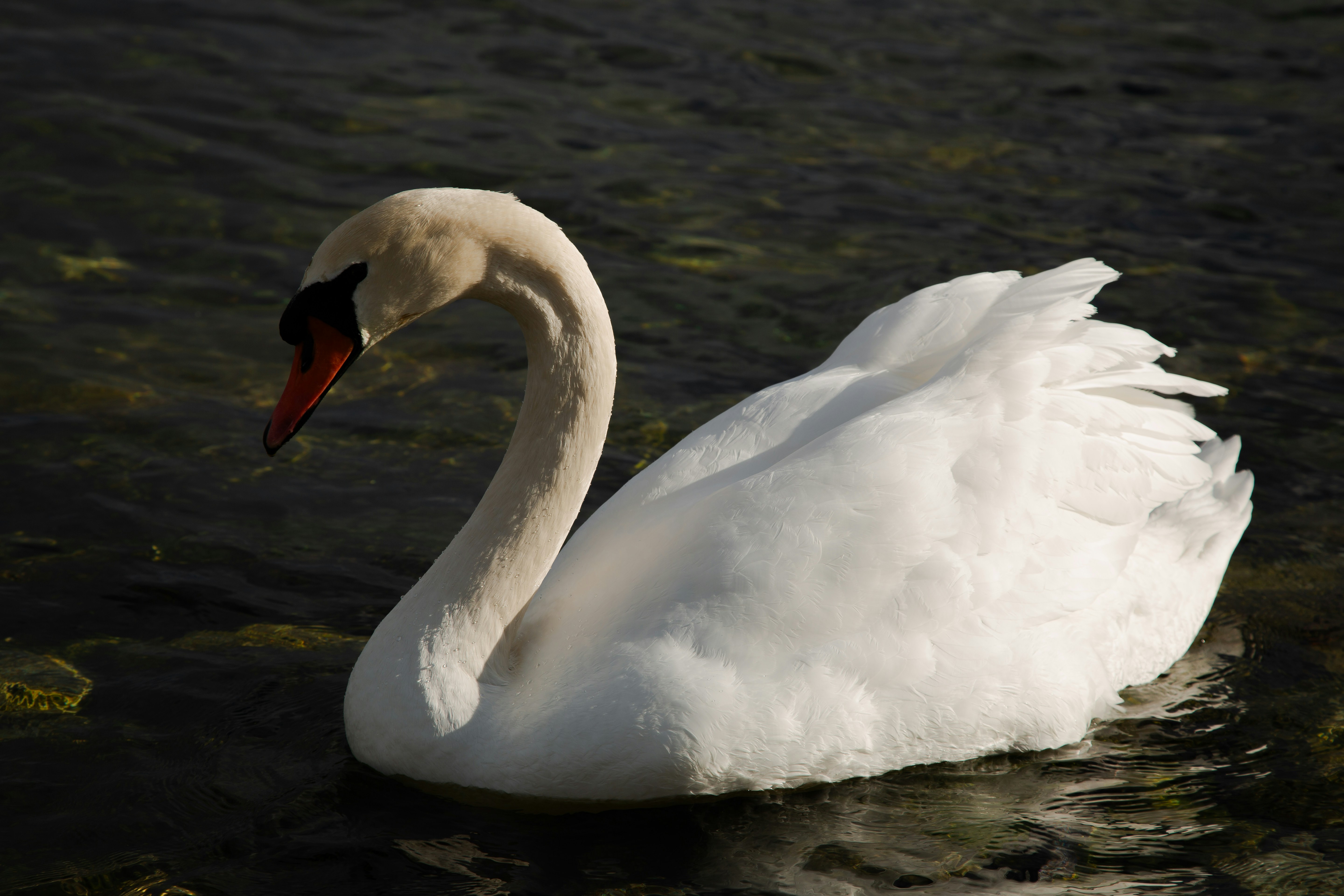 Photo by sofiatheexplorer