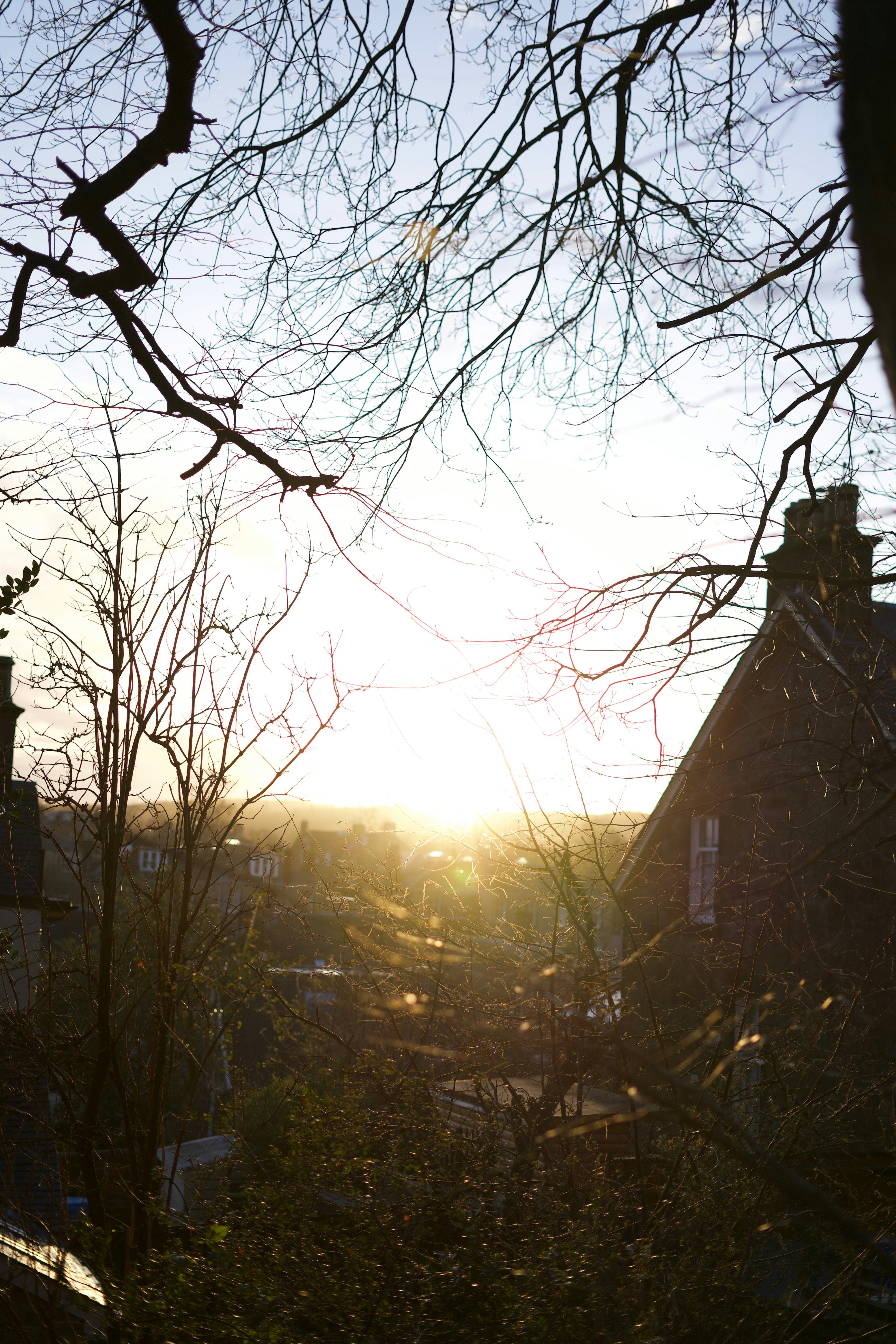 Photo by kris_verityamm