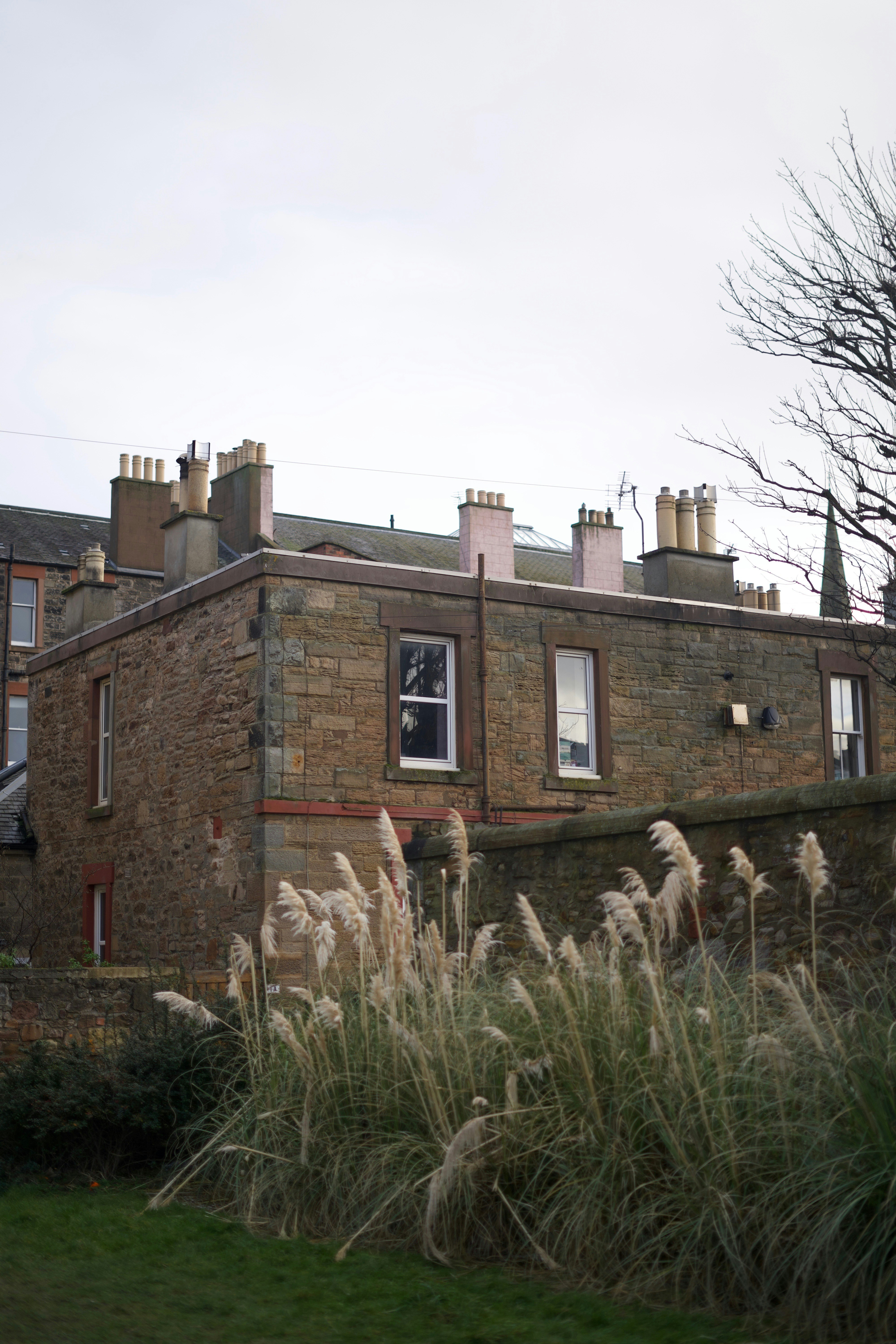 Photo by kris_verityamm