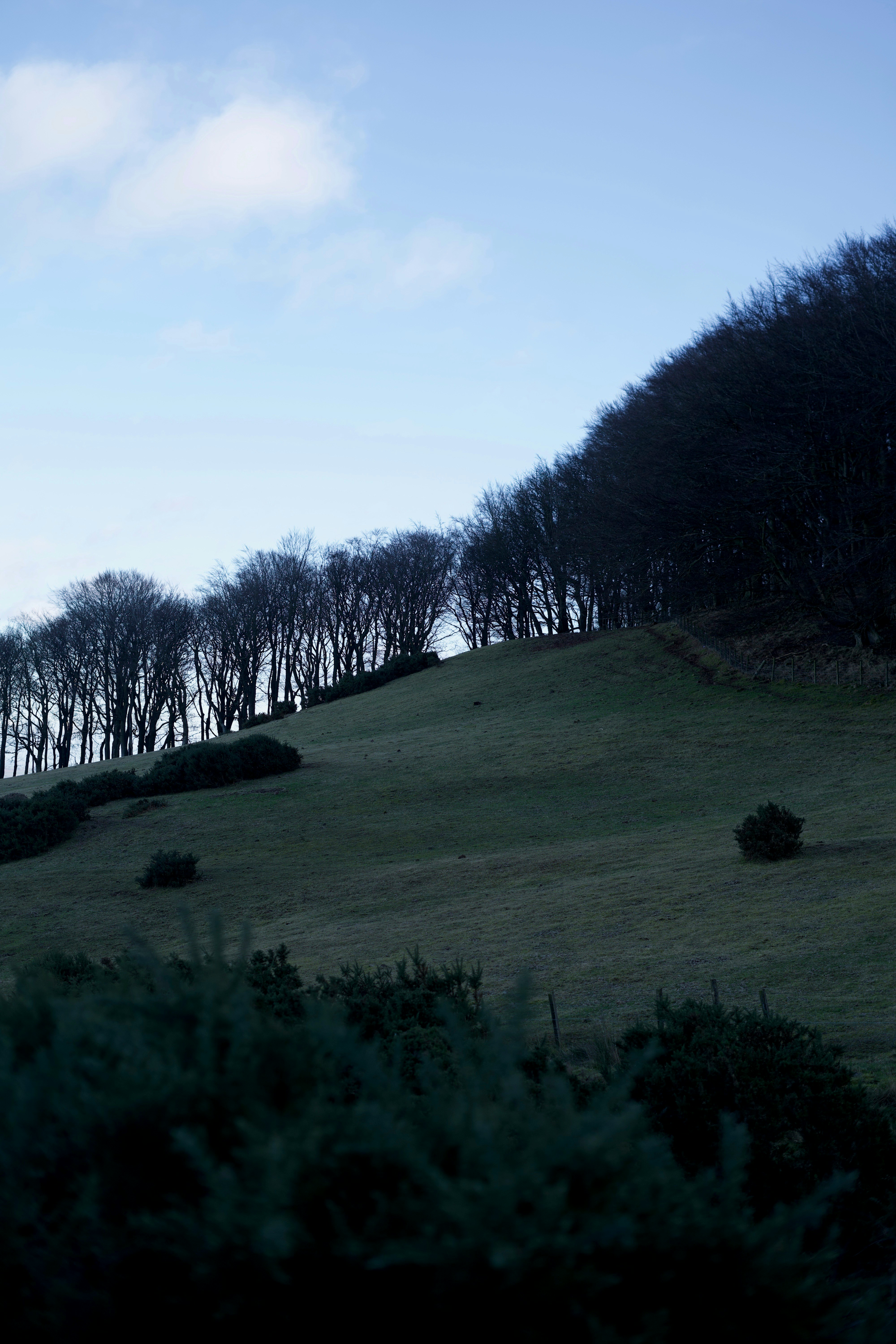 Photo by kris_verityamm