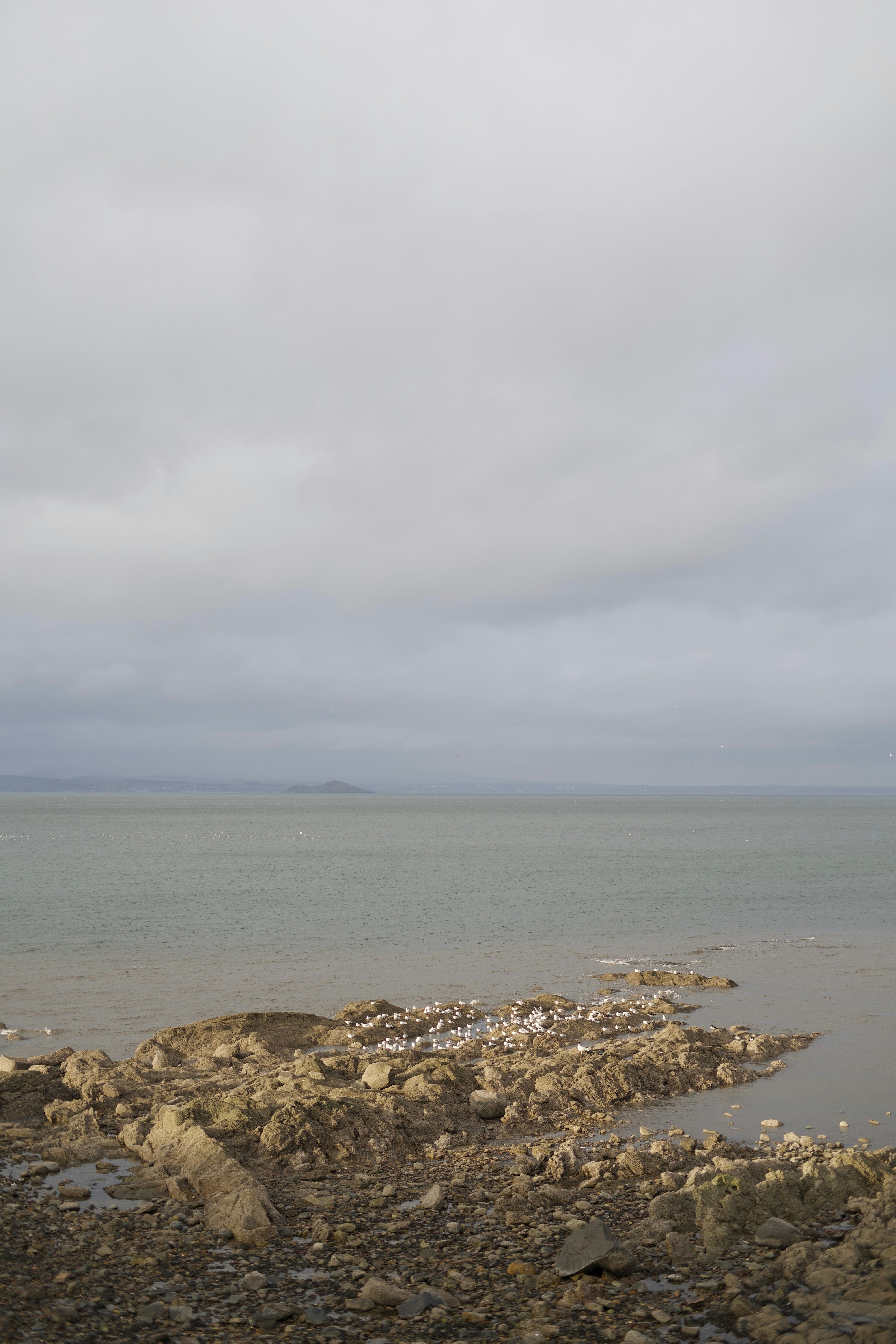 Photo by kris_verityamm