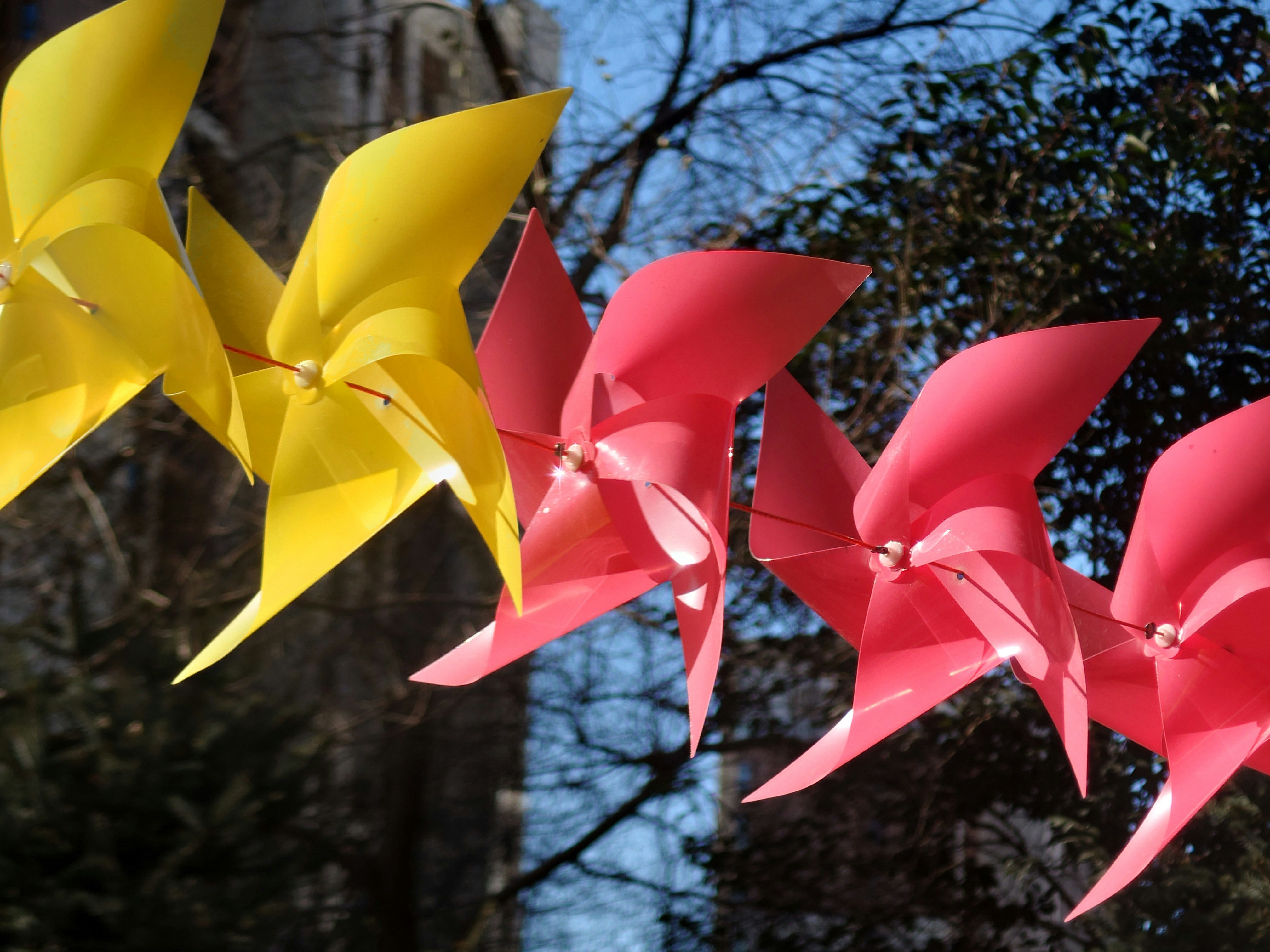 Paper Windmill Pictures | Download Free Images on Unsplash