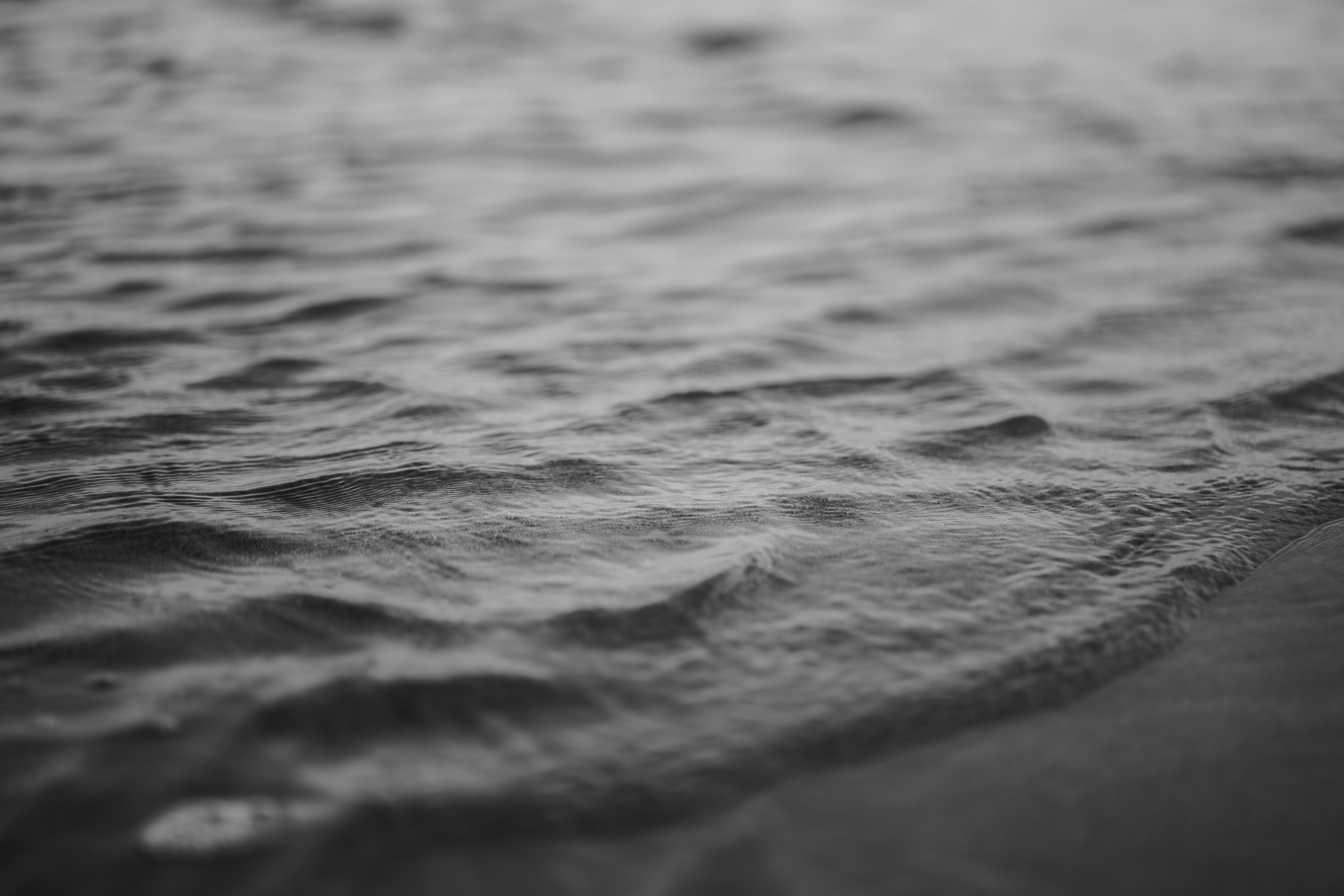 Photo by dannyturusy