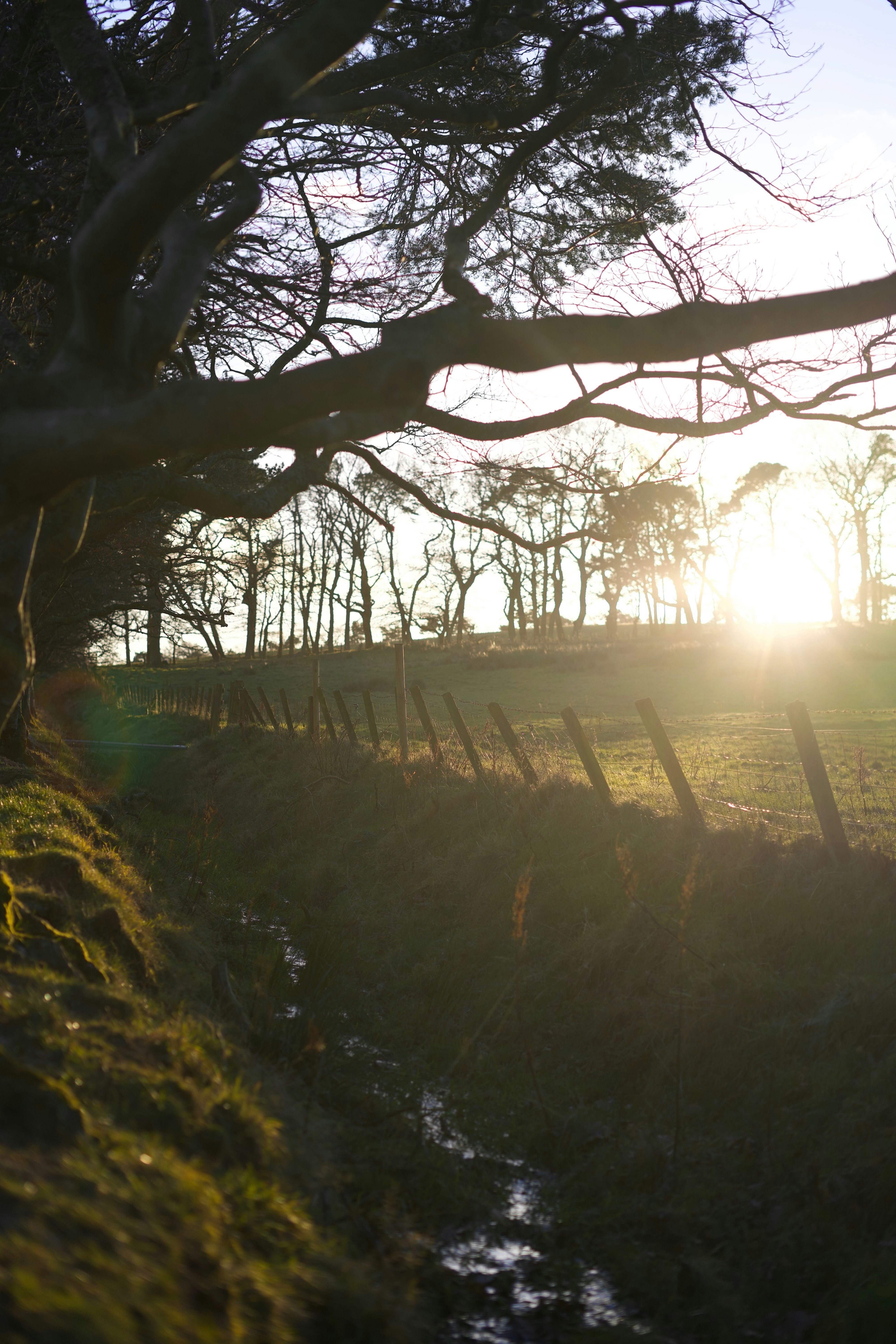 Photo by kris_verityamm