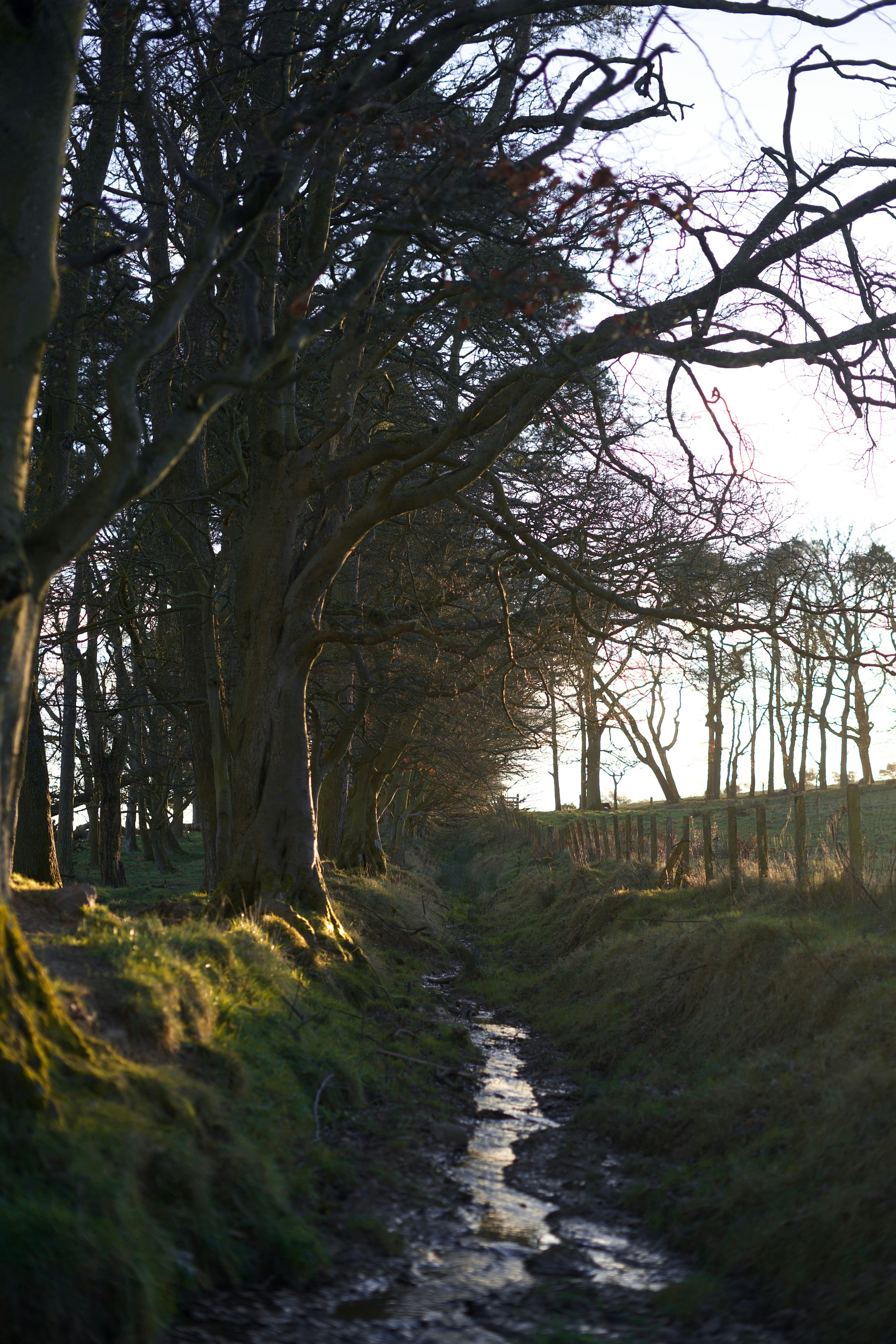 Photo by kris_verityamm