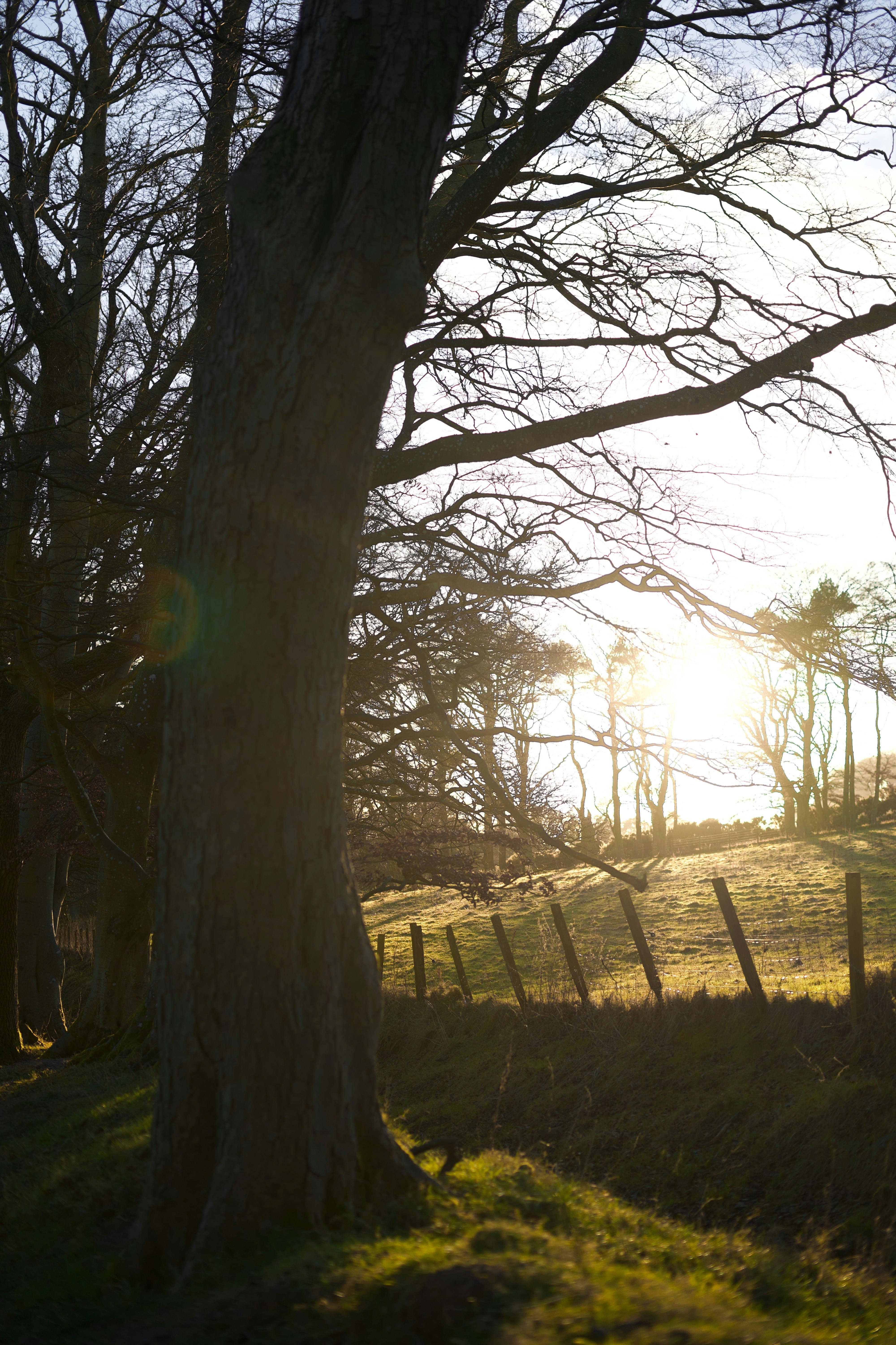 Photo by kris_verityamm