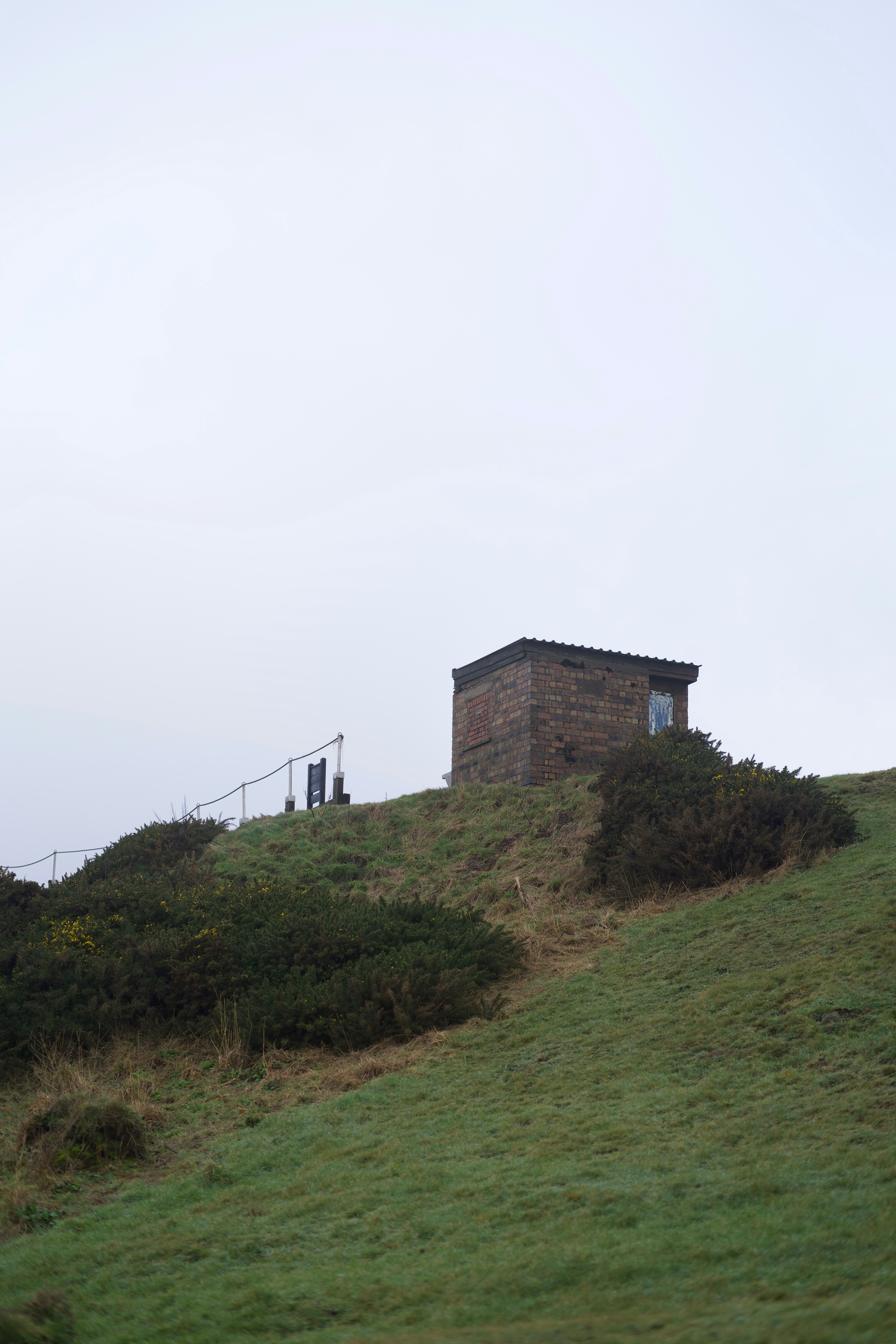 Photo by kris_verityamm