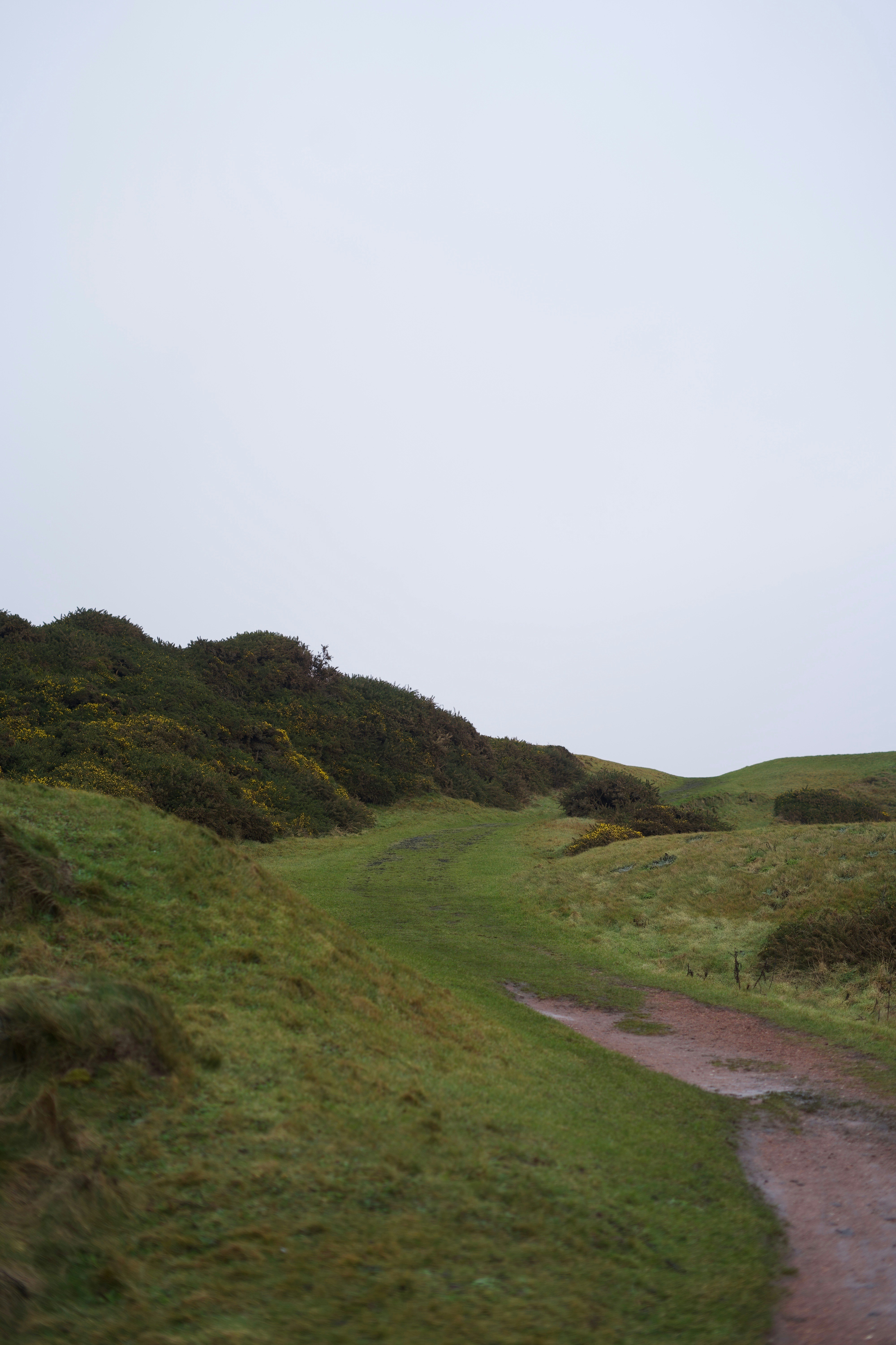 Photo by kris_verityamm