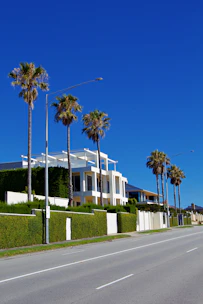 A street lined with palm trees next to a white building