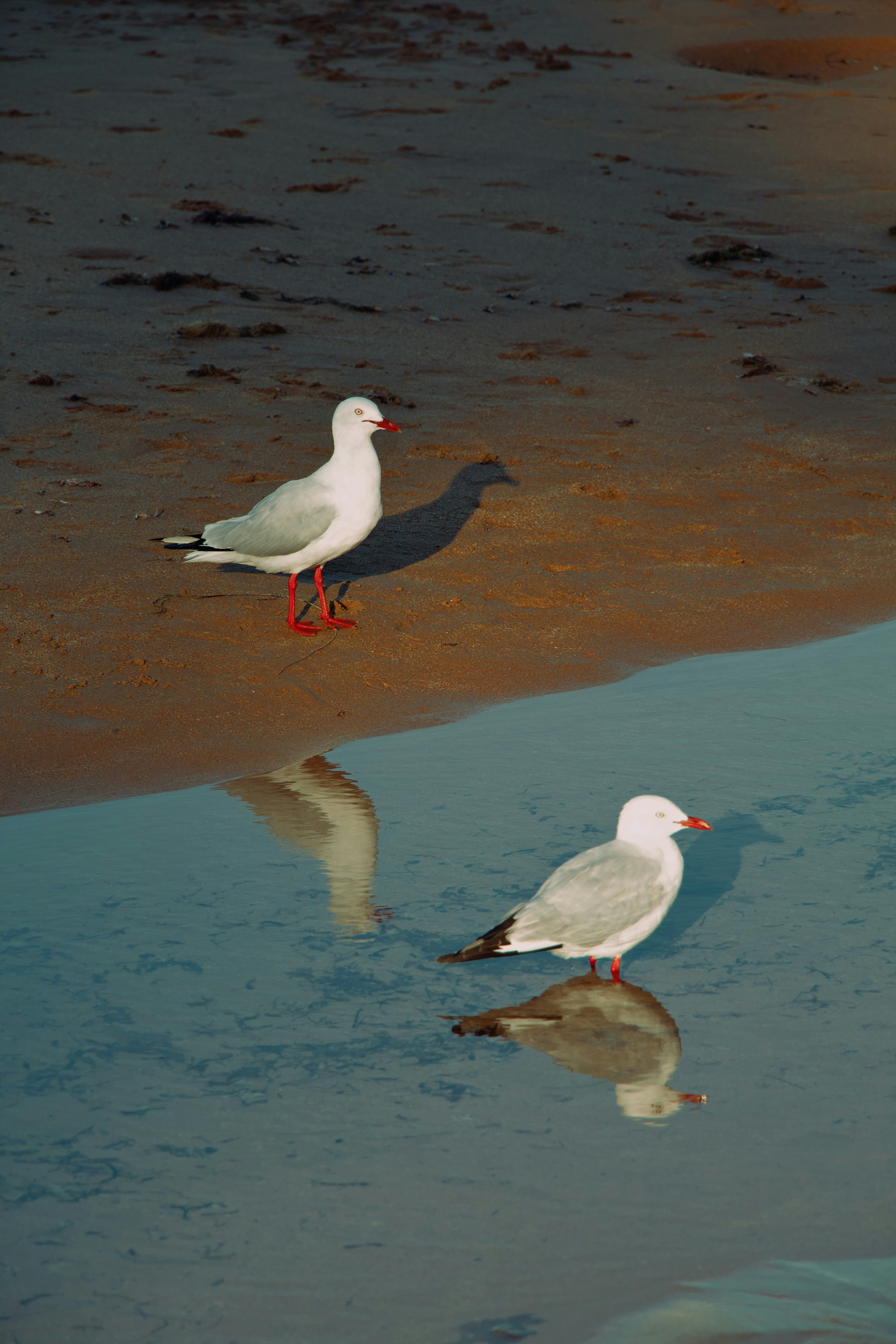 Photo by luchv