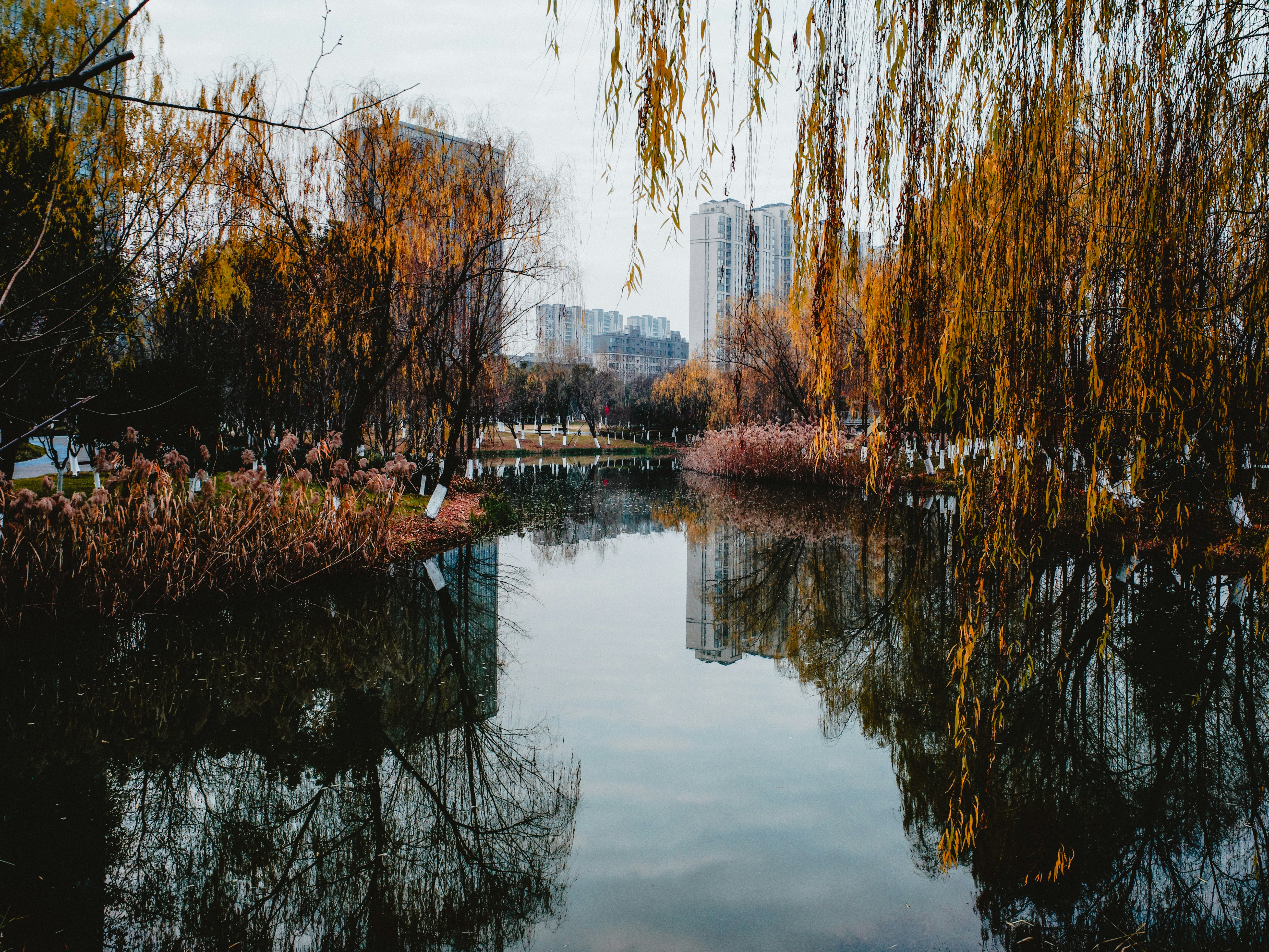 Photo by dickenslin76