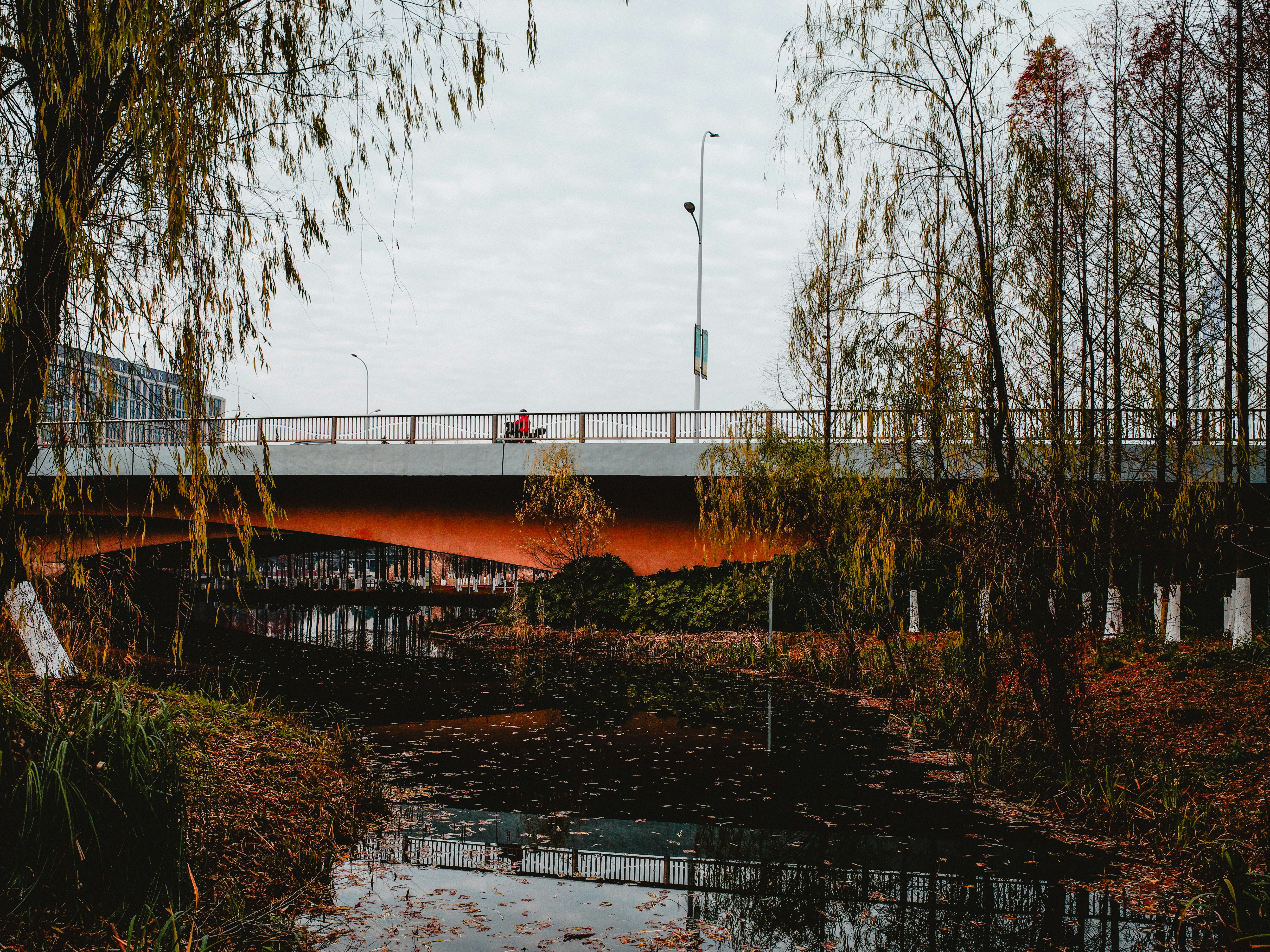 Photo by dickenslin76