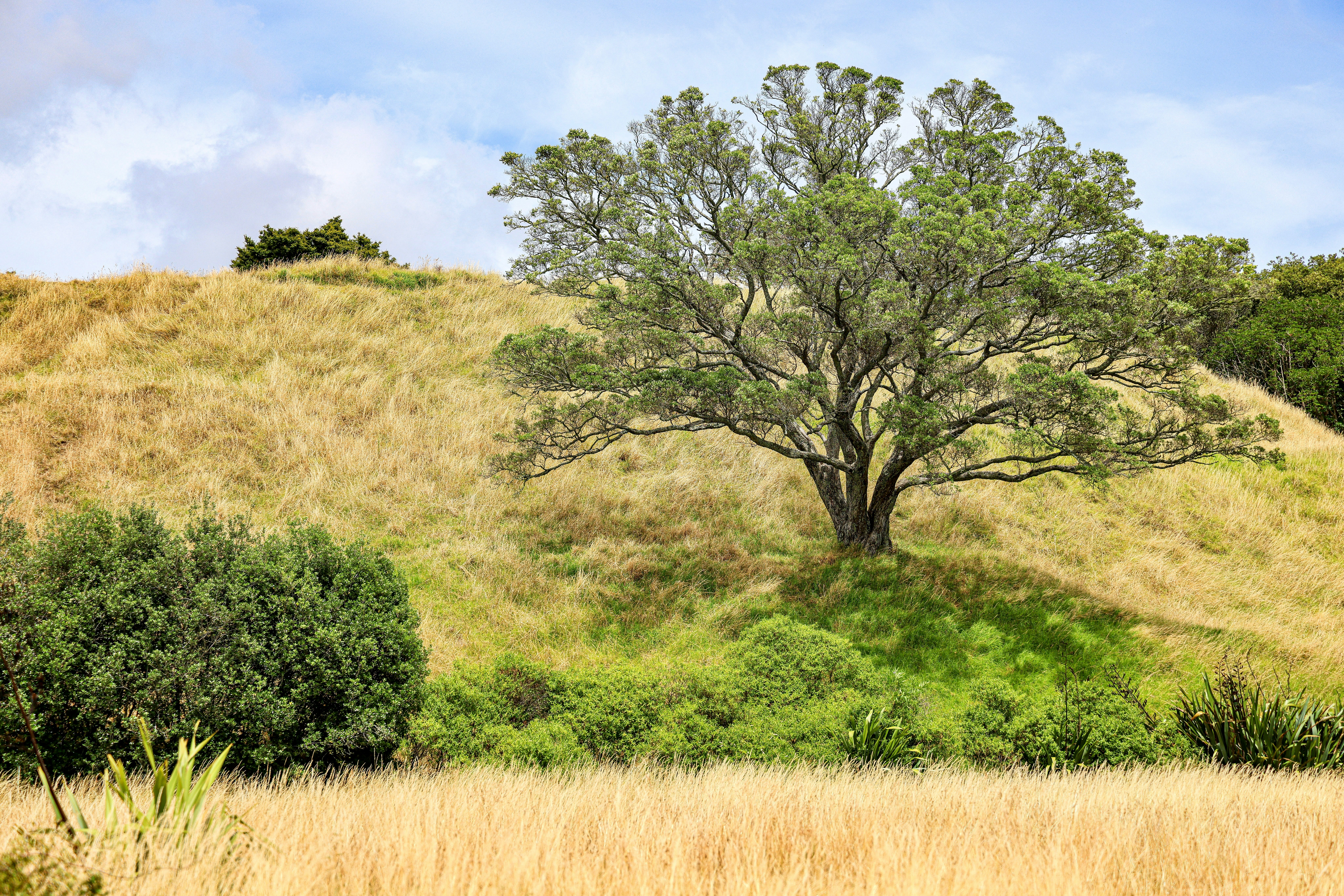 Photo by maximilian_brand